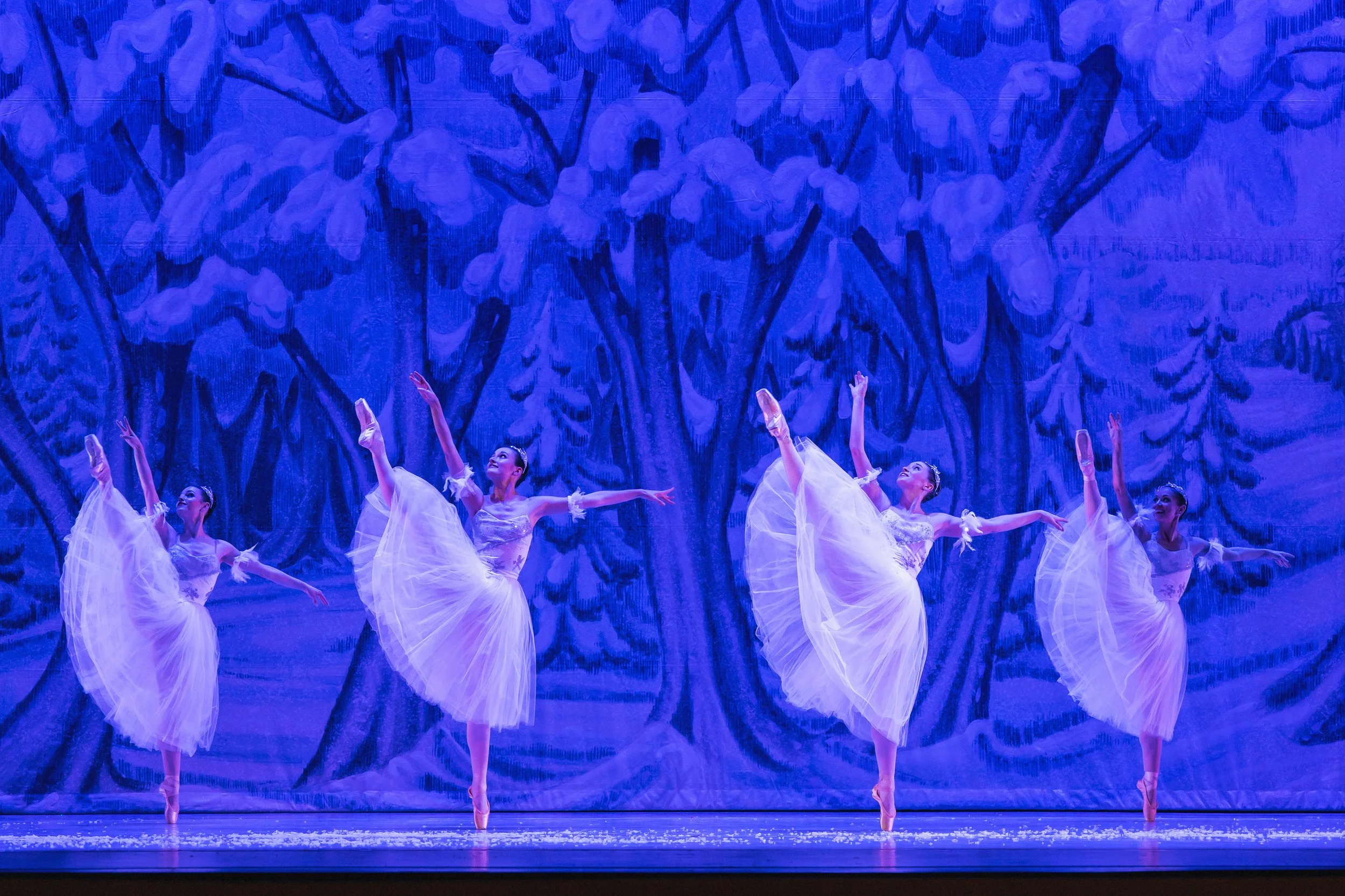 The “Gentle” Nutcracker