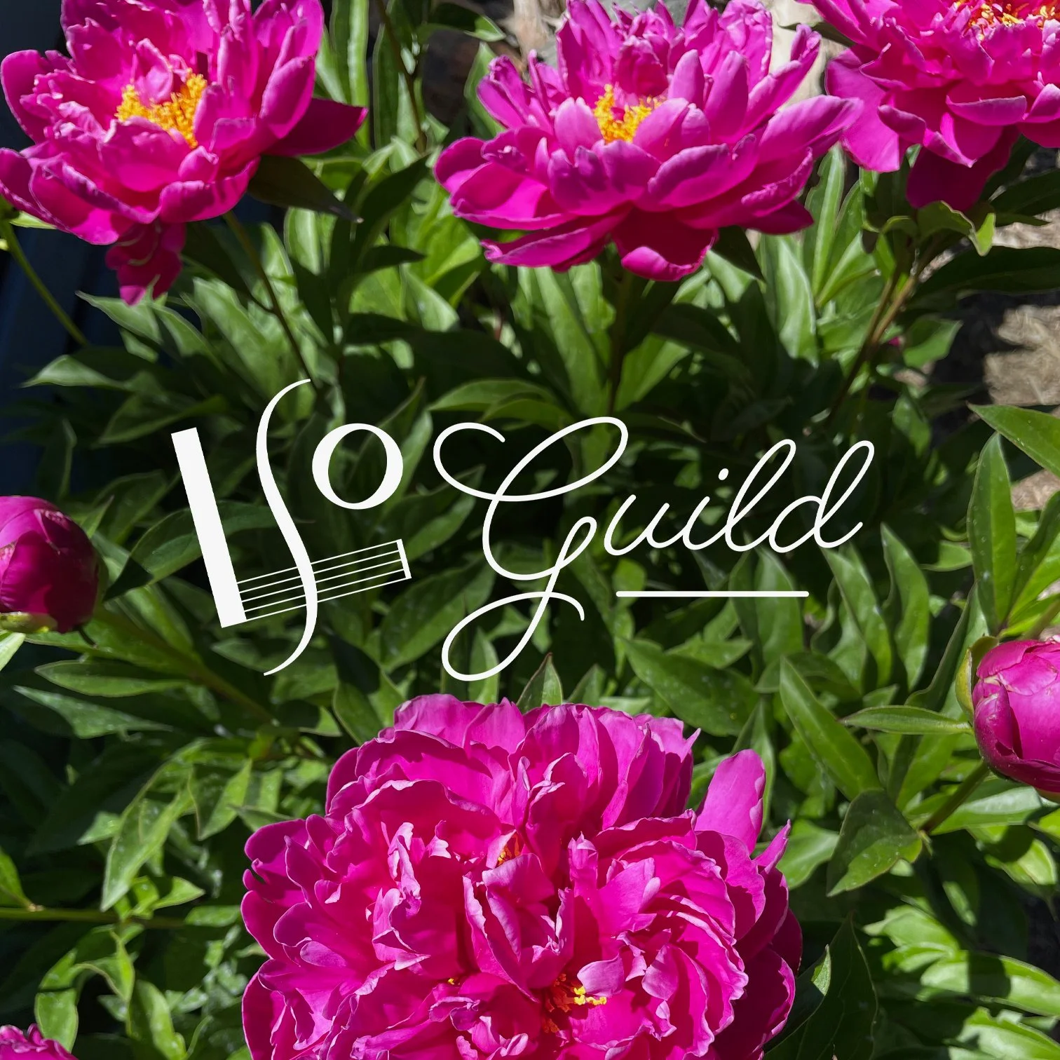 LSO Guild Annual Garden Tour