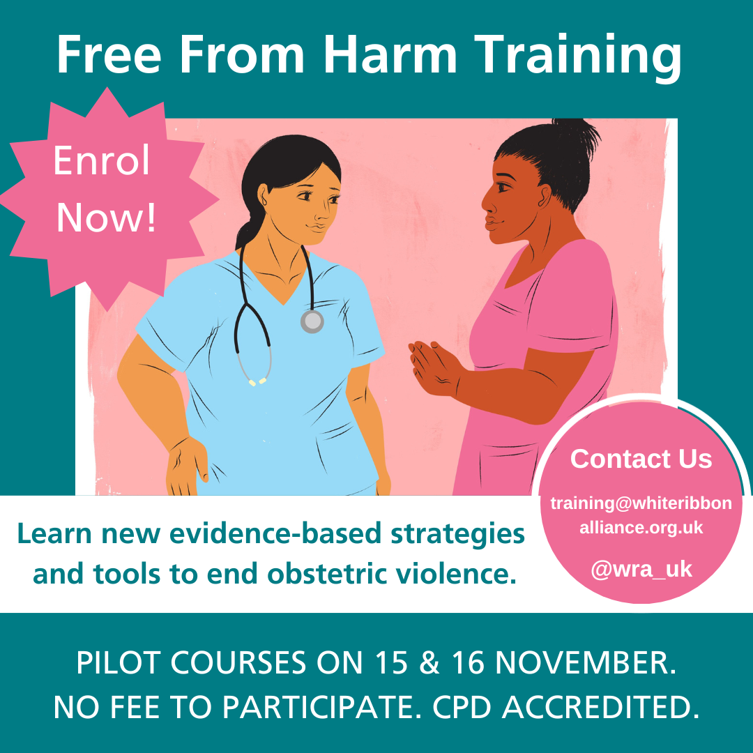 White Ribbon Alliance UK launch our groundbreaking pilot training ...