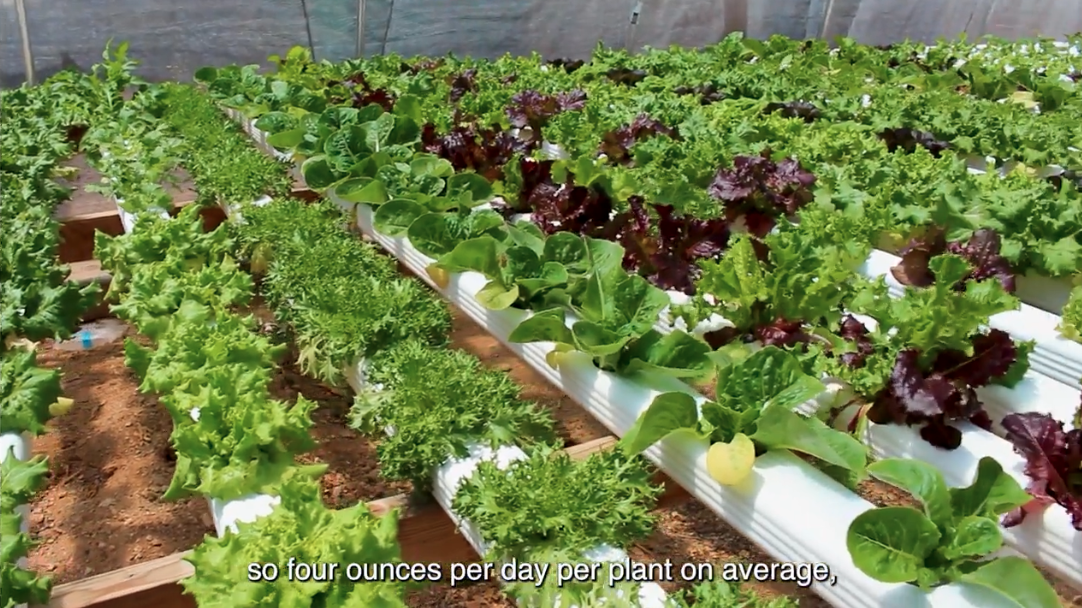 Arizona Water for All