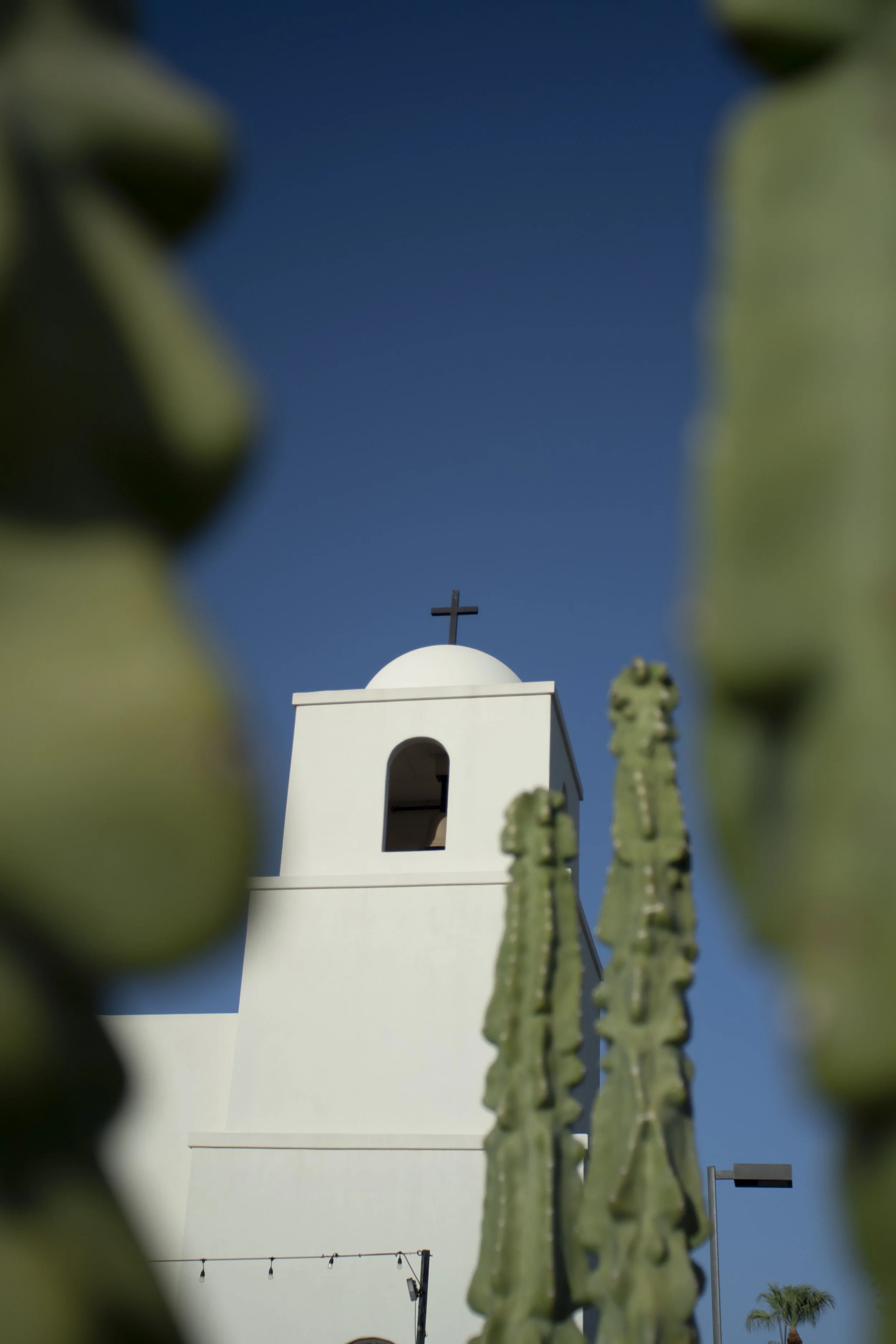 church and cactus .jpg