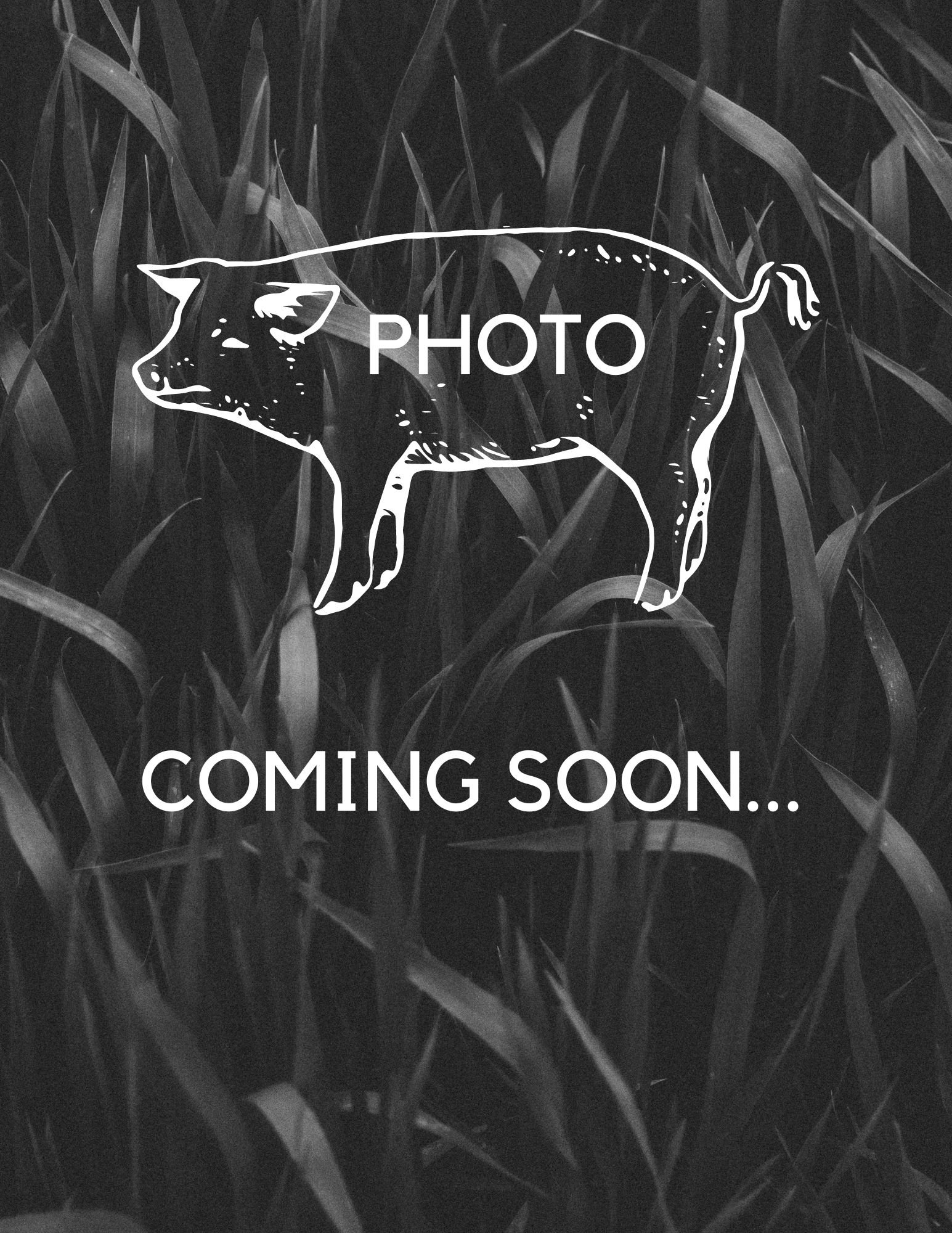 PHOTO COMING soon .jpg