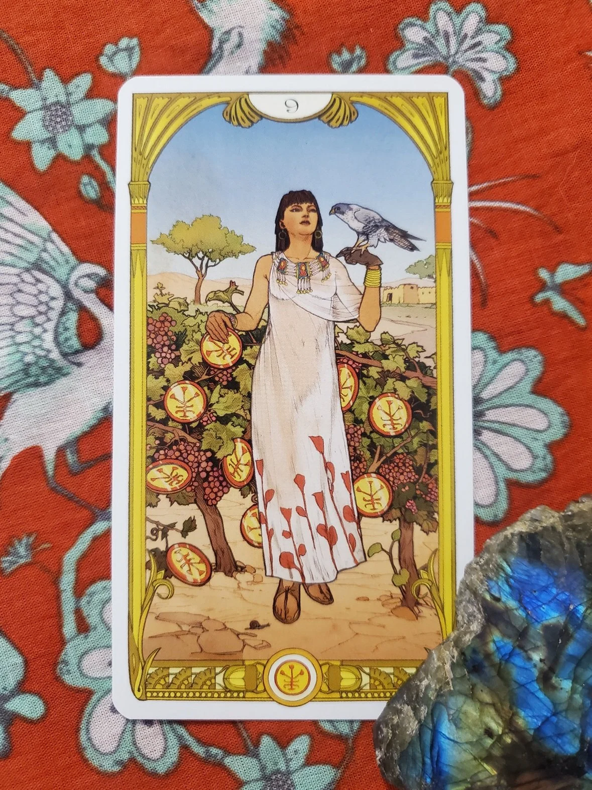 TAROT TUESDAY 2/24/26:   9 of pentacles