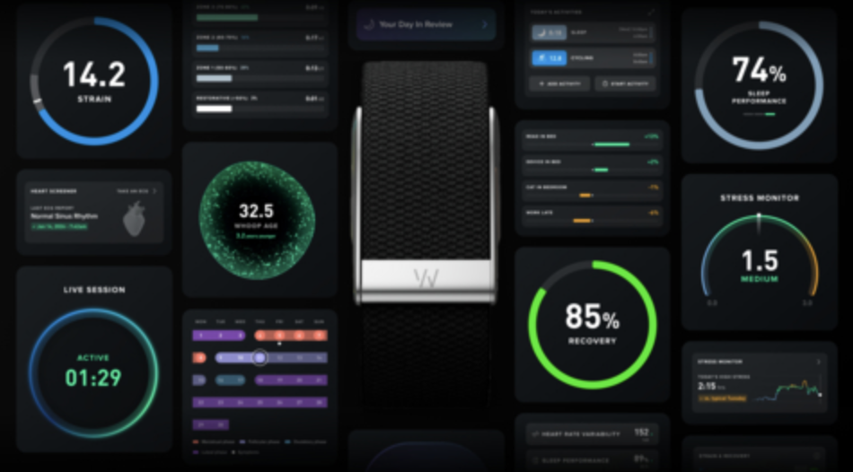 WHOOP Expands Into Clinical Health With AI Coaching