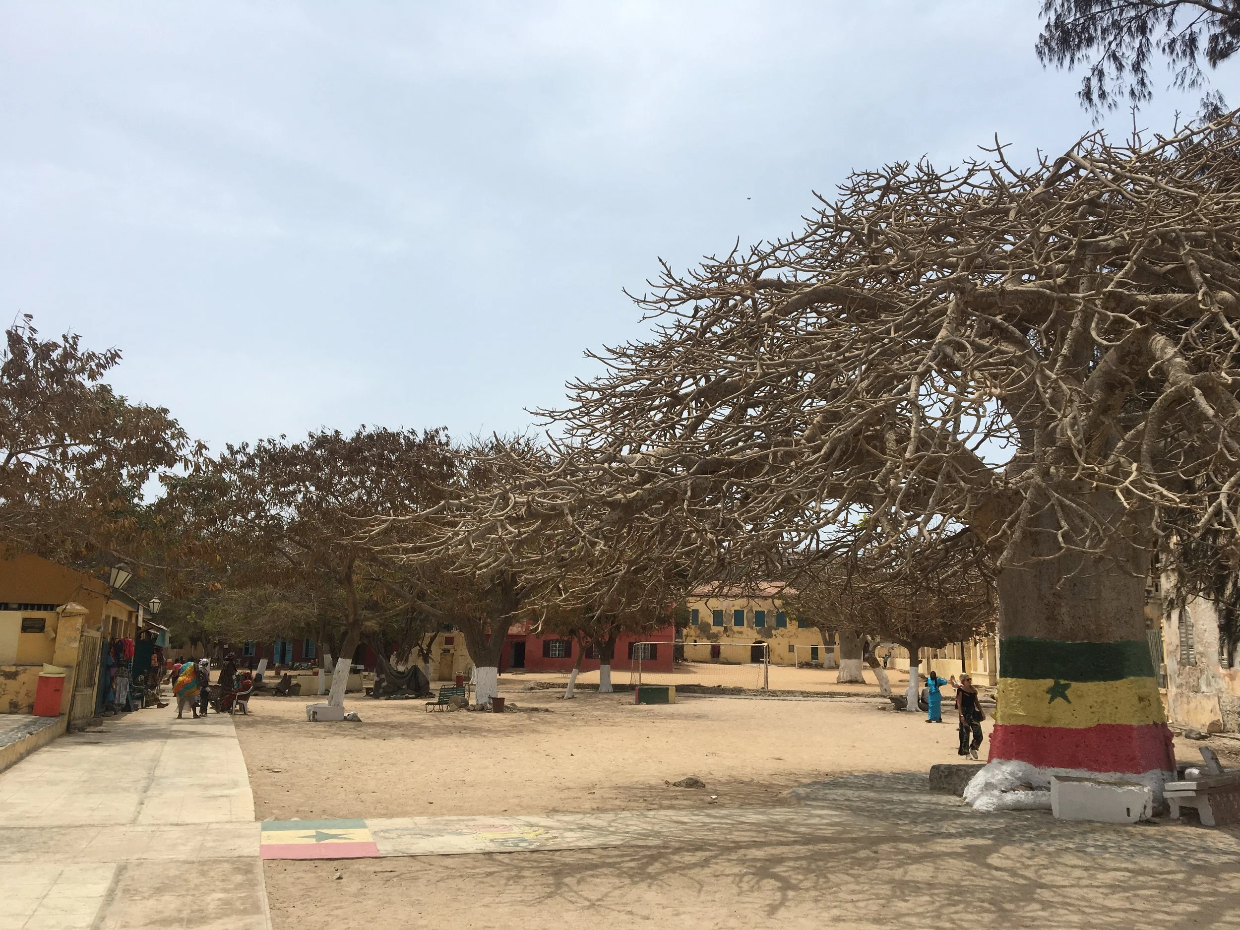 Travel 2026: The HOT / NOT list