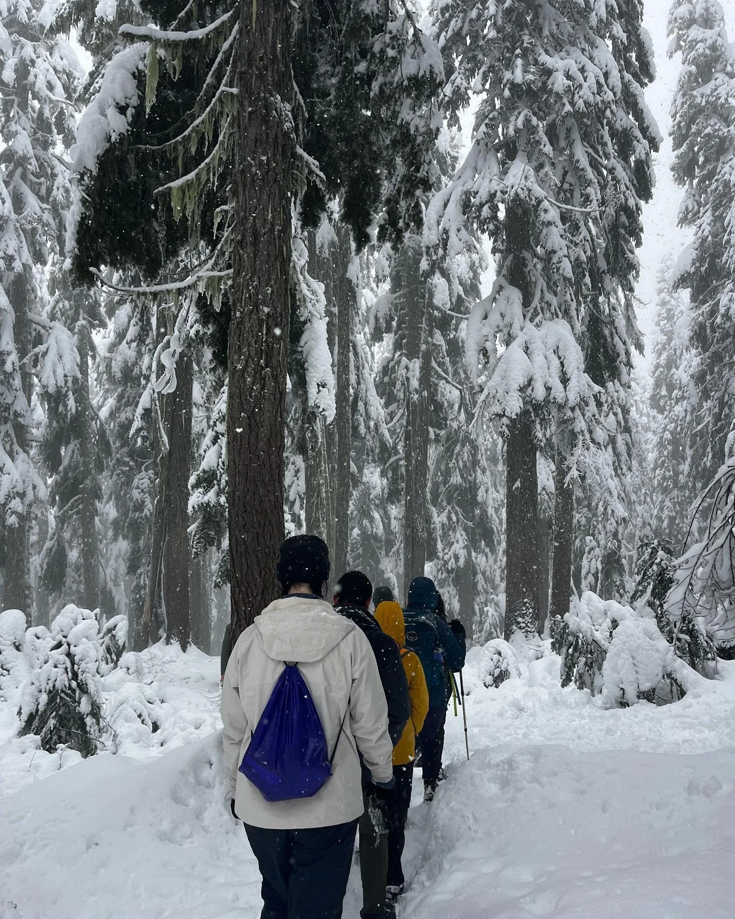 Thank you to everyone who joined us on hikes these last two weekends. Through snow, rain, wind, and icy river crossings, y&rsquo;all were absolute troopers!! A special thank you to the professors (Buchanan, Wolman, Chen, Dwyer, and Rotem) who joined 