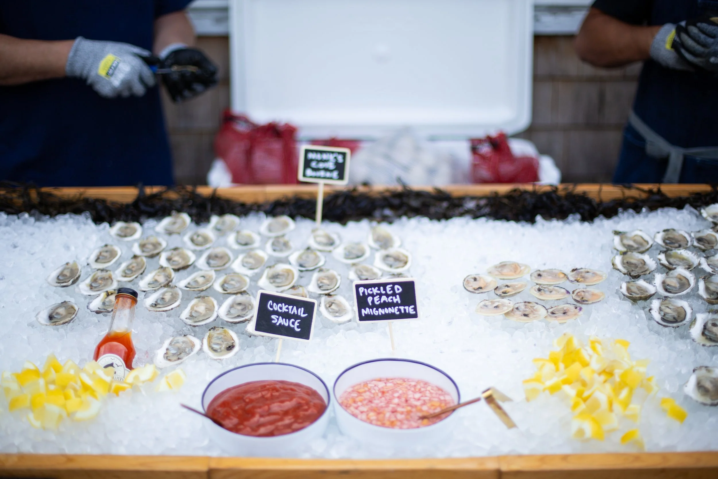 Cataumet-Club-Oyster-Fest-2025_MS_3146.jpg