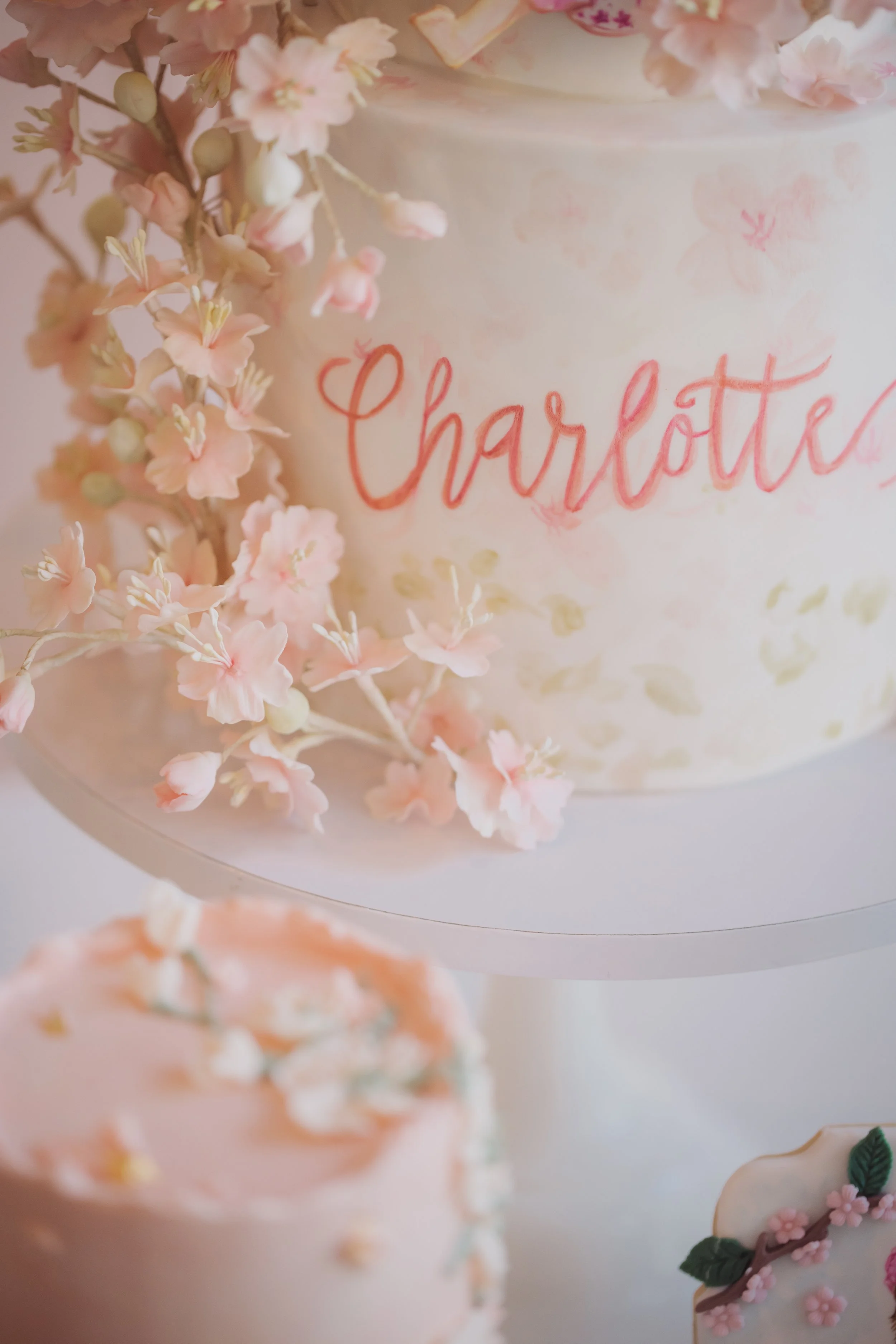 js-event-doul-charlotte-116.JPG