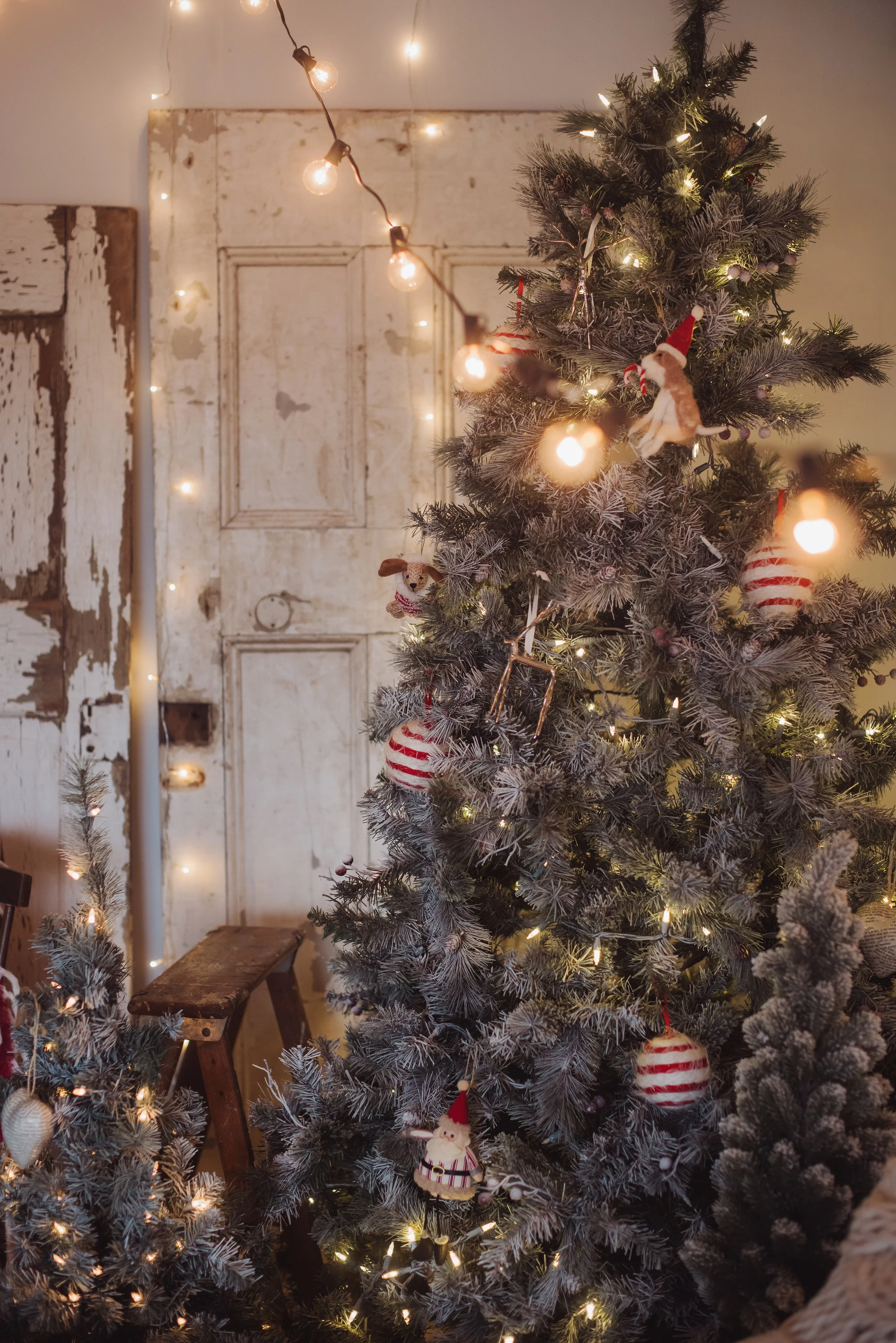 2026 Holiday Mini Session
