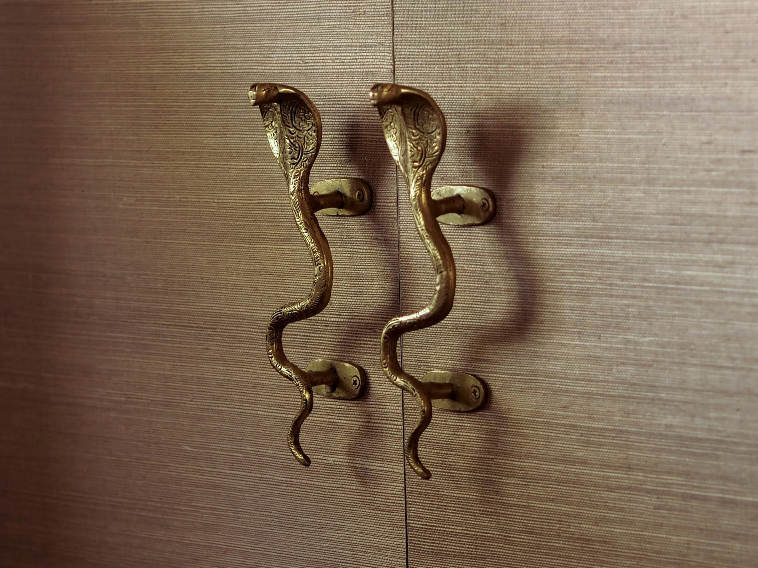 P1010019.JPG