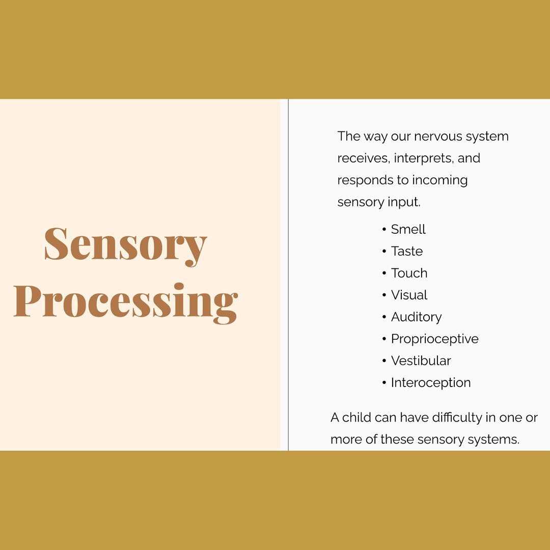 🧠 Understanding Sensory Processing 🌟

Ever wondered how your brain processes all the sights, sounds, and sensations around you? It&rsquo;s all about sensory processing, and there&rsquo;s more to it than you might think! 🧐

Our nervous system has 8