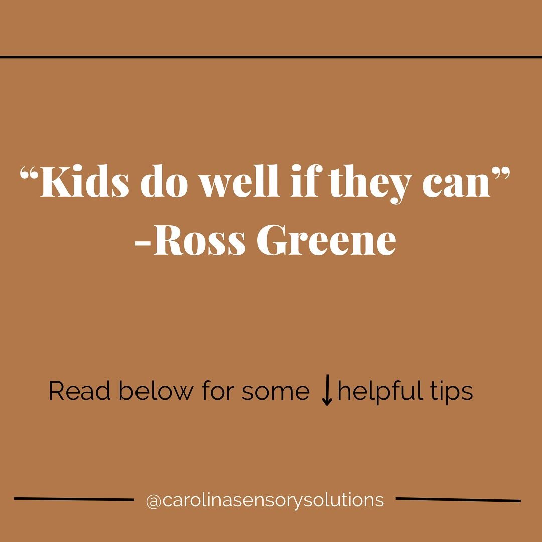 Understanding that &ldquo;kids do well when they can&rdquo; is pivotal in fostering their growth and development. Ross Greene beautifully captures this idea, emphasizing that children inherently want to succeed but may face obstacles (think biologica