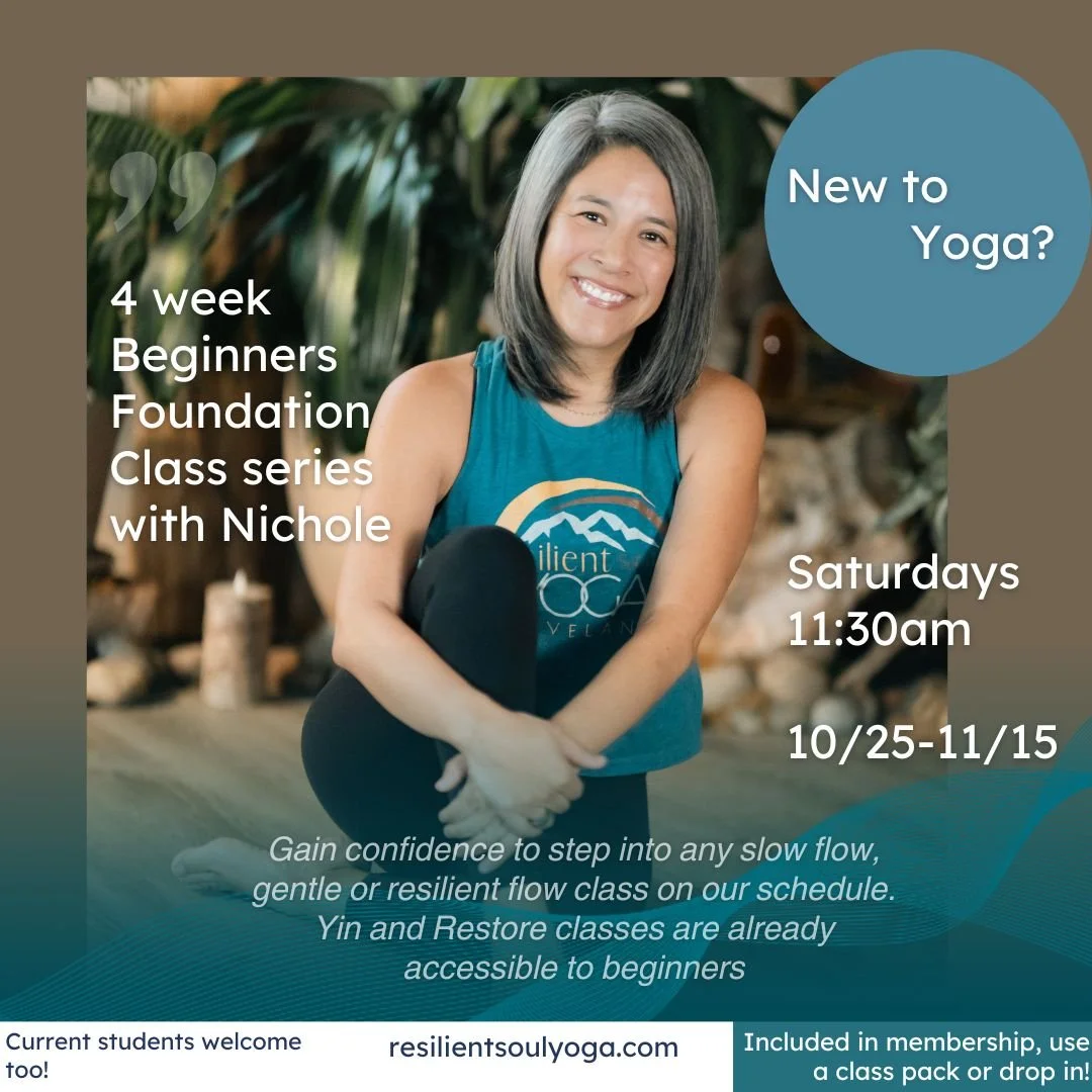 Beginners Series.jpeg