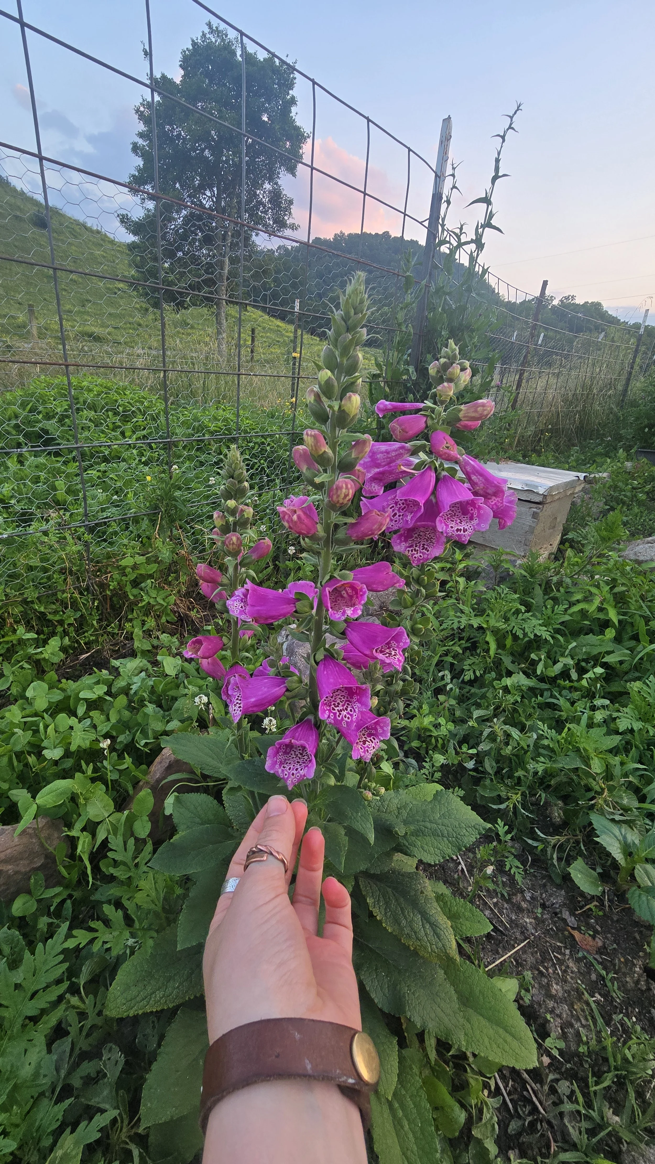 20250603_203039.jpg
