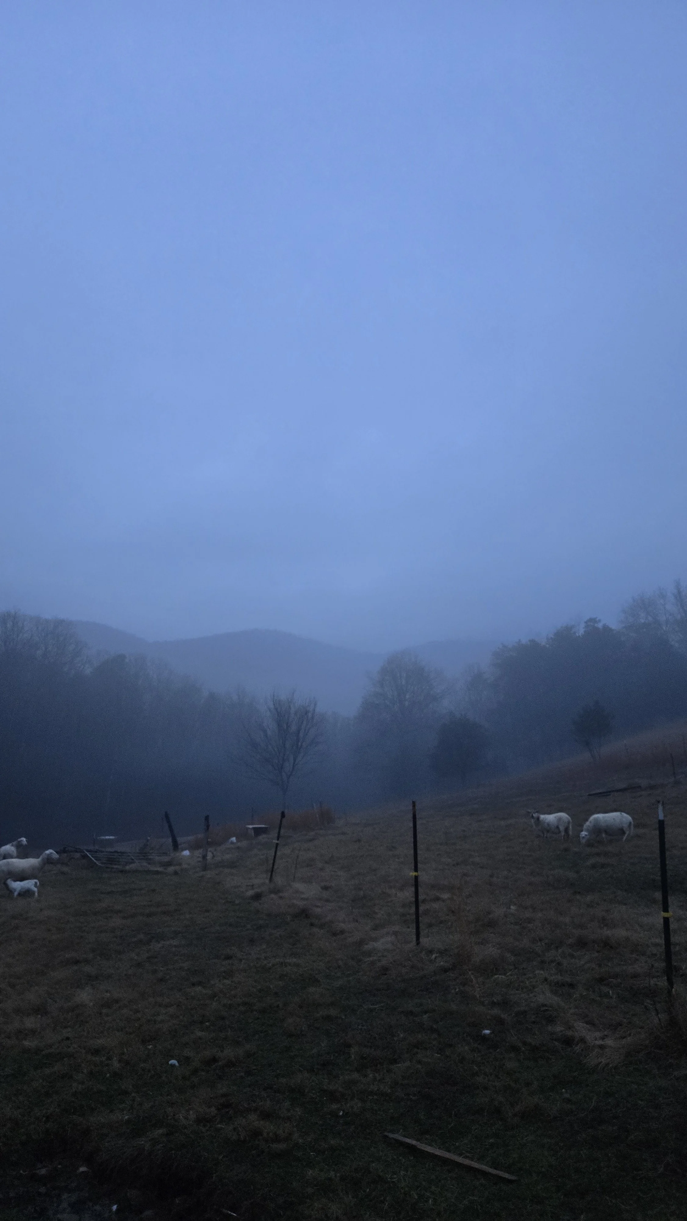 20260109_173954.jpg