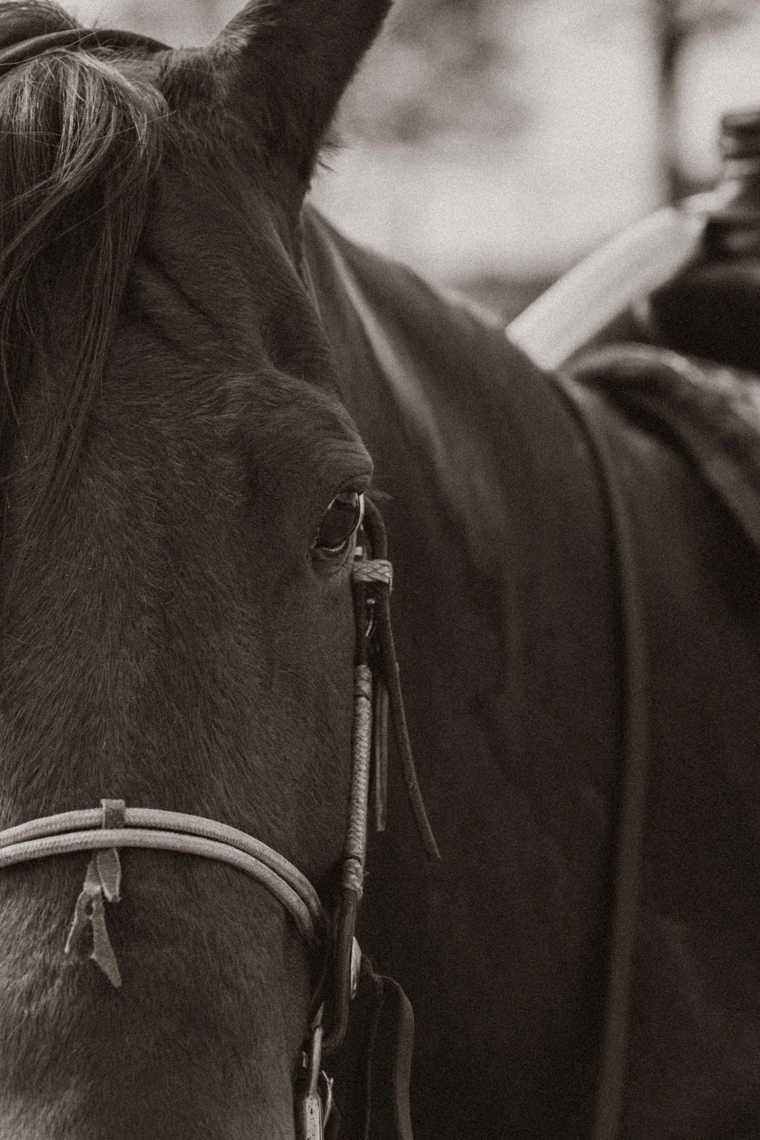 Photos by Ashley Madrano Photography