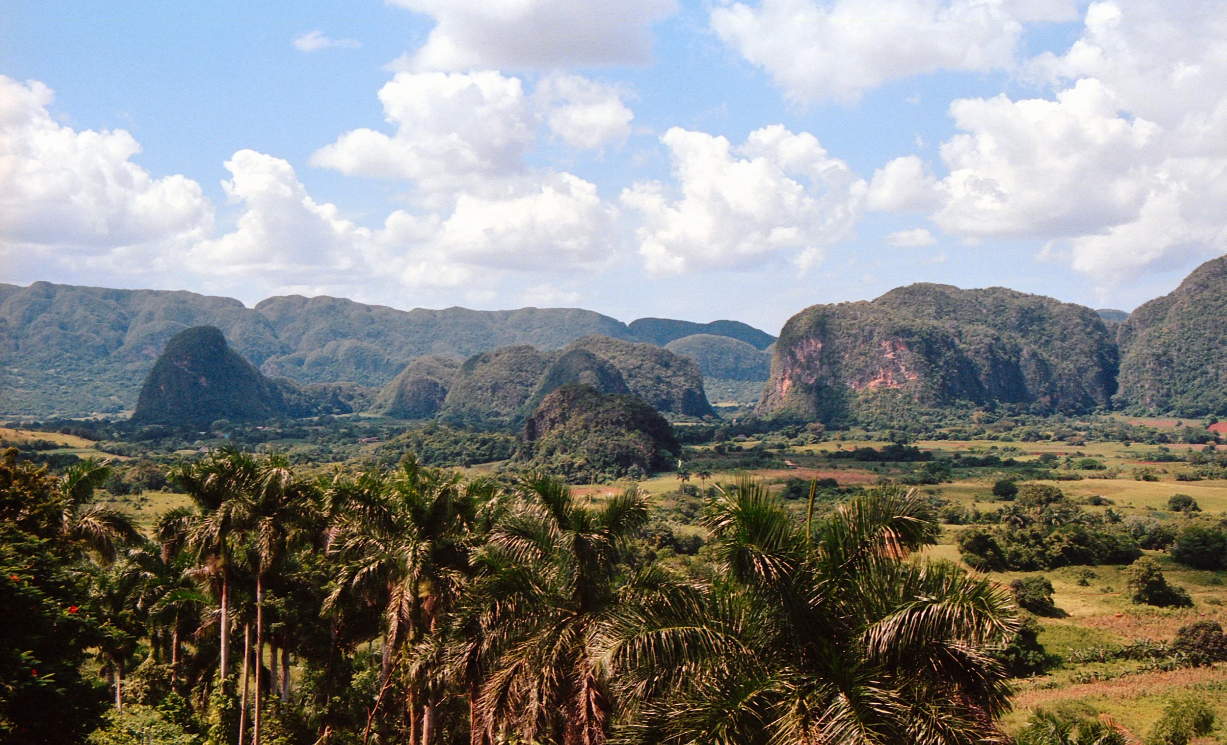 Scenic view of mountains and lush green vegetation with palm trees in the foreground on a partly cloudy day.