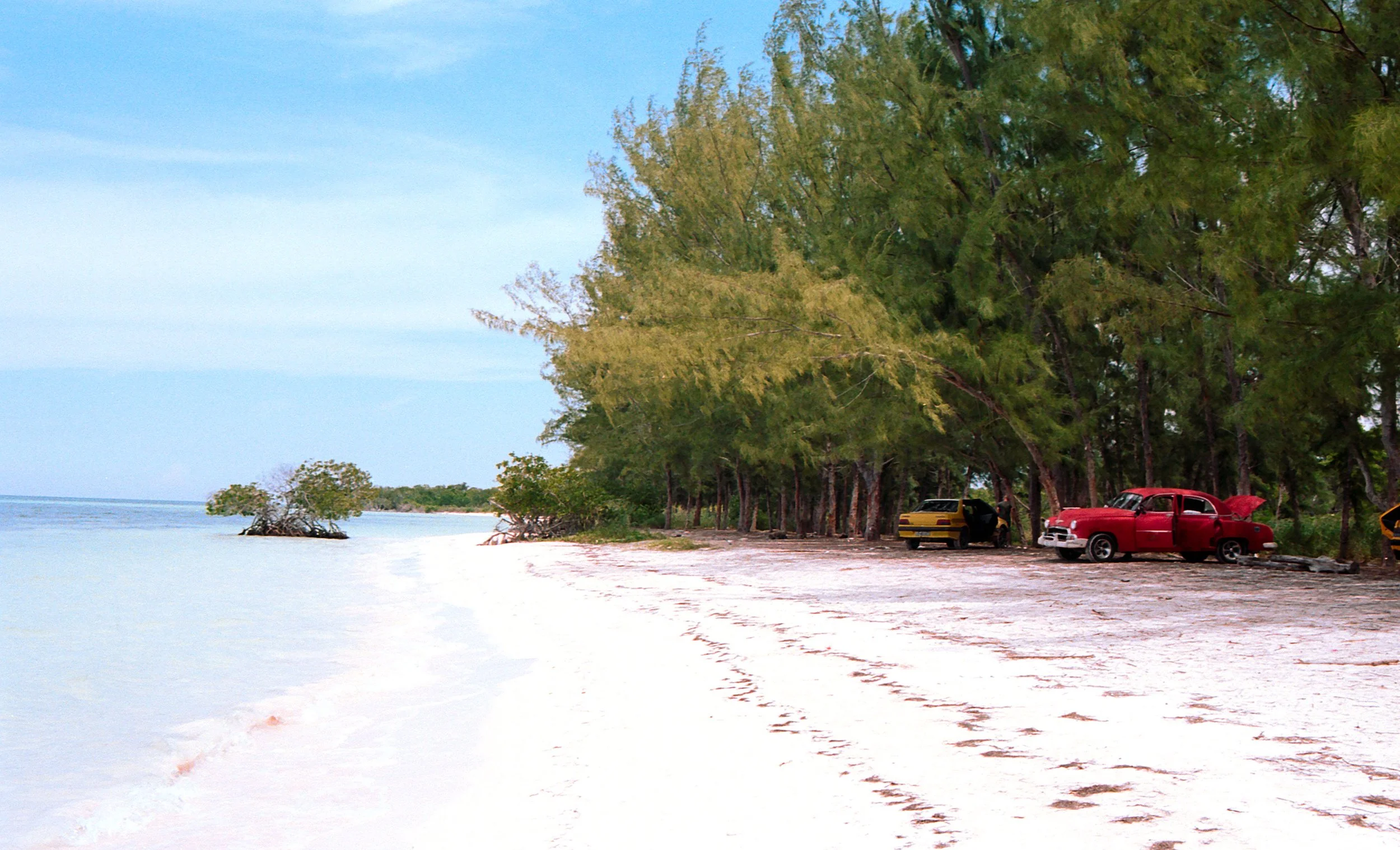 Cars parked on a sandy beach with green trees and calm water in the background.