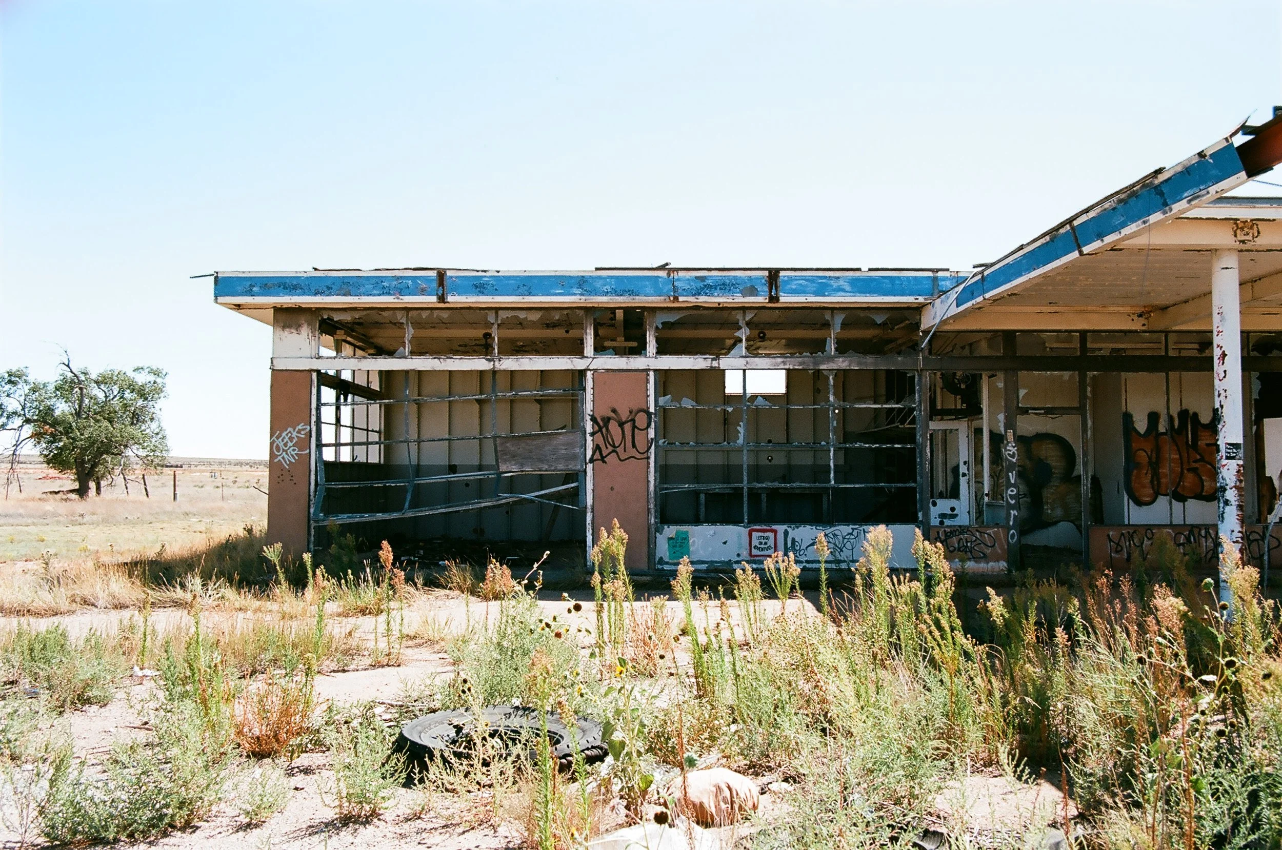 Abandoned, graffiti-covered building in a desert landscape with overgrown vegetation and a tire on the ground.