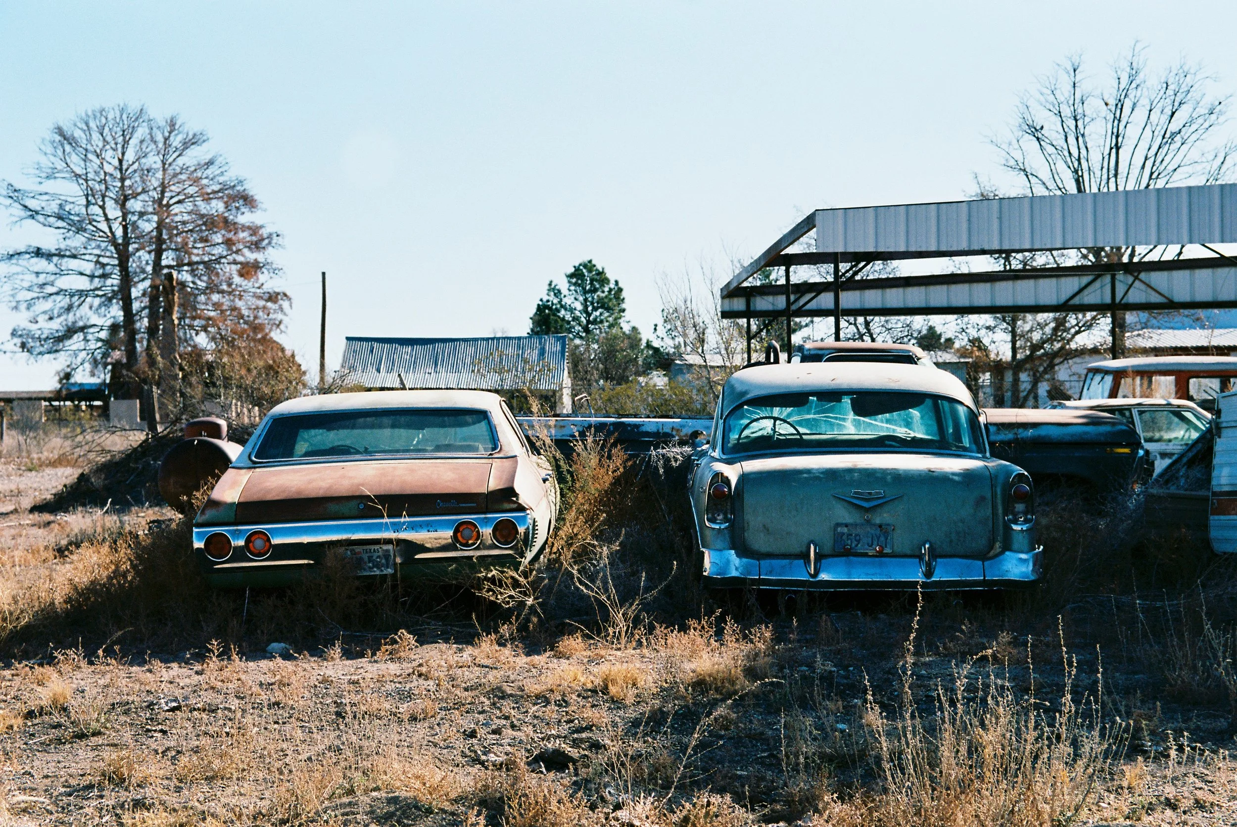Old, abandoned cars in a dry, overgrown field, with a tree, some structures, and a clear sky in the background.