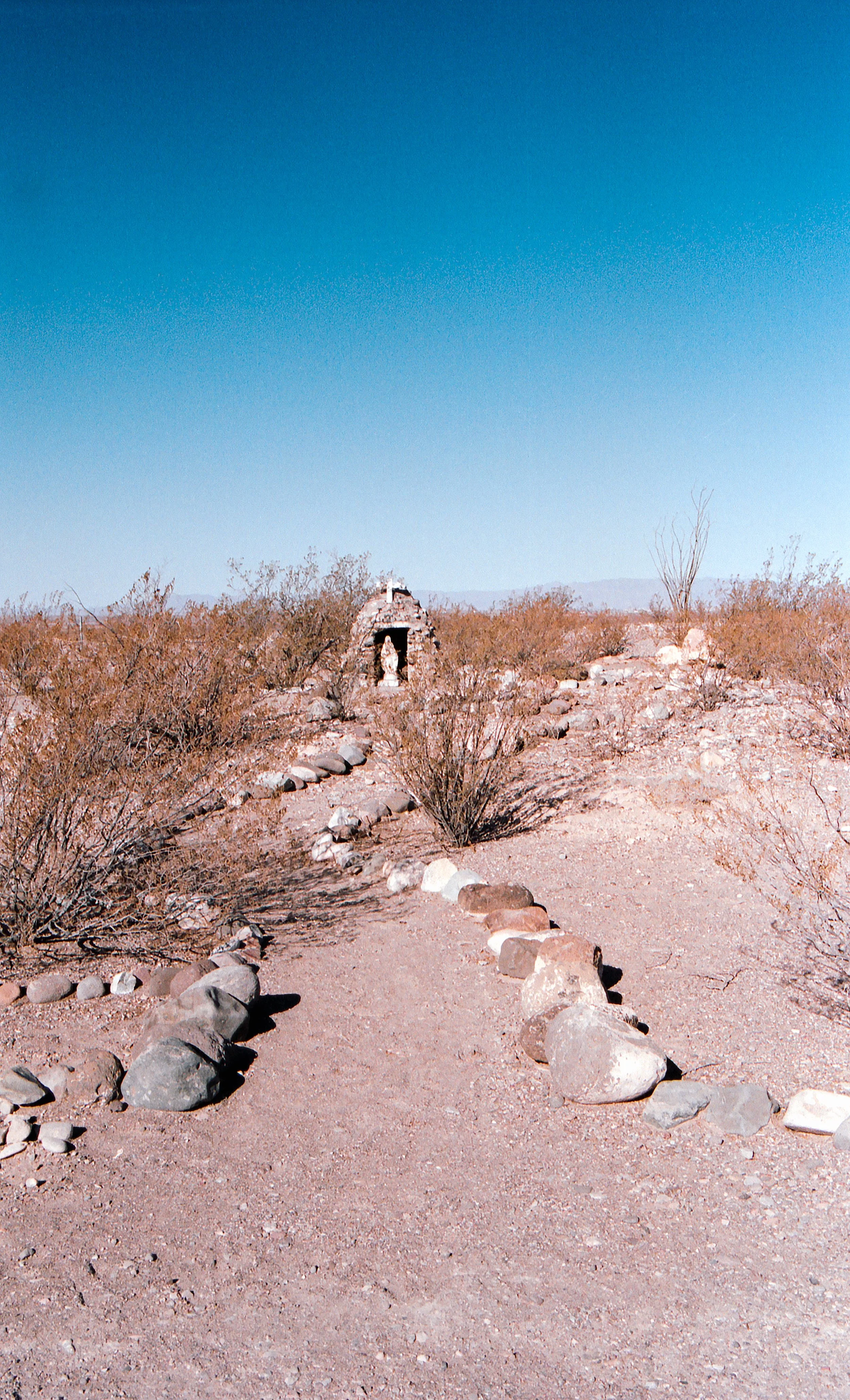 WestTex3_Portra400_Feb22-12.jpg