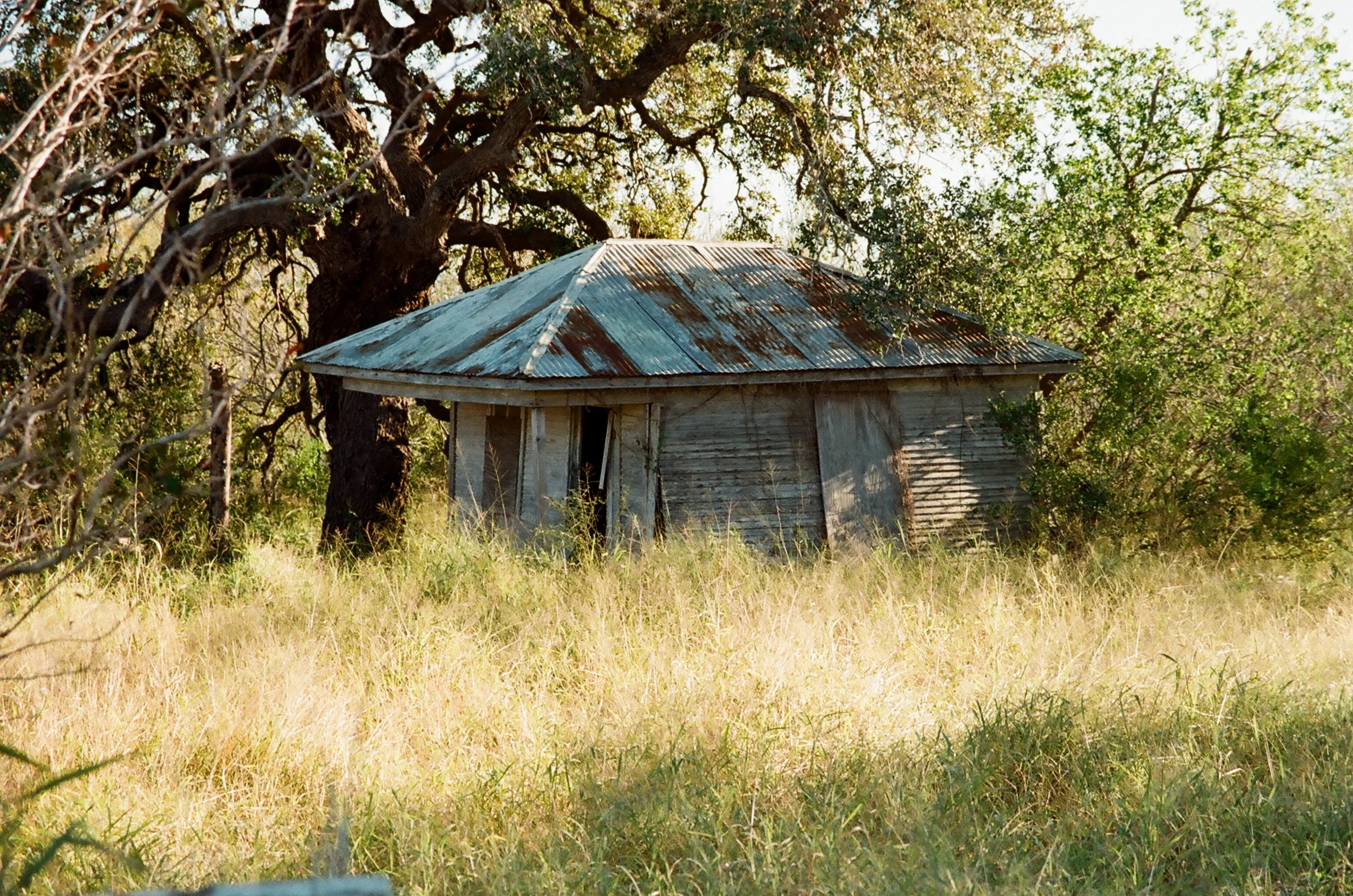 An old, weathered wooden house with a rusted metal roof, surrounded by tall grass and trees.