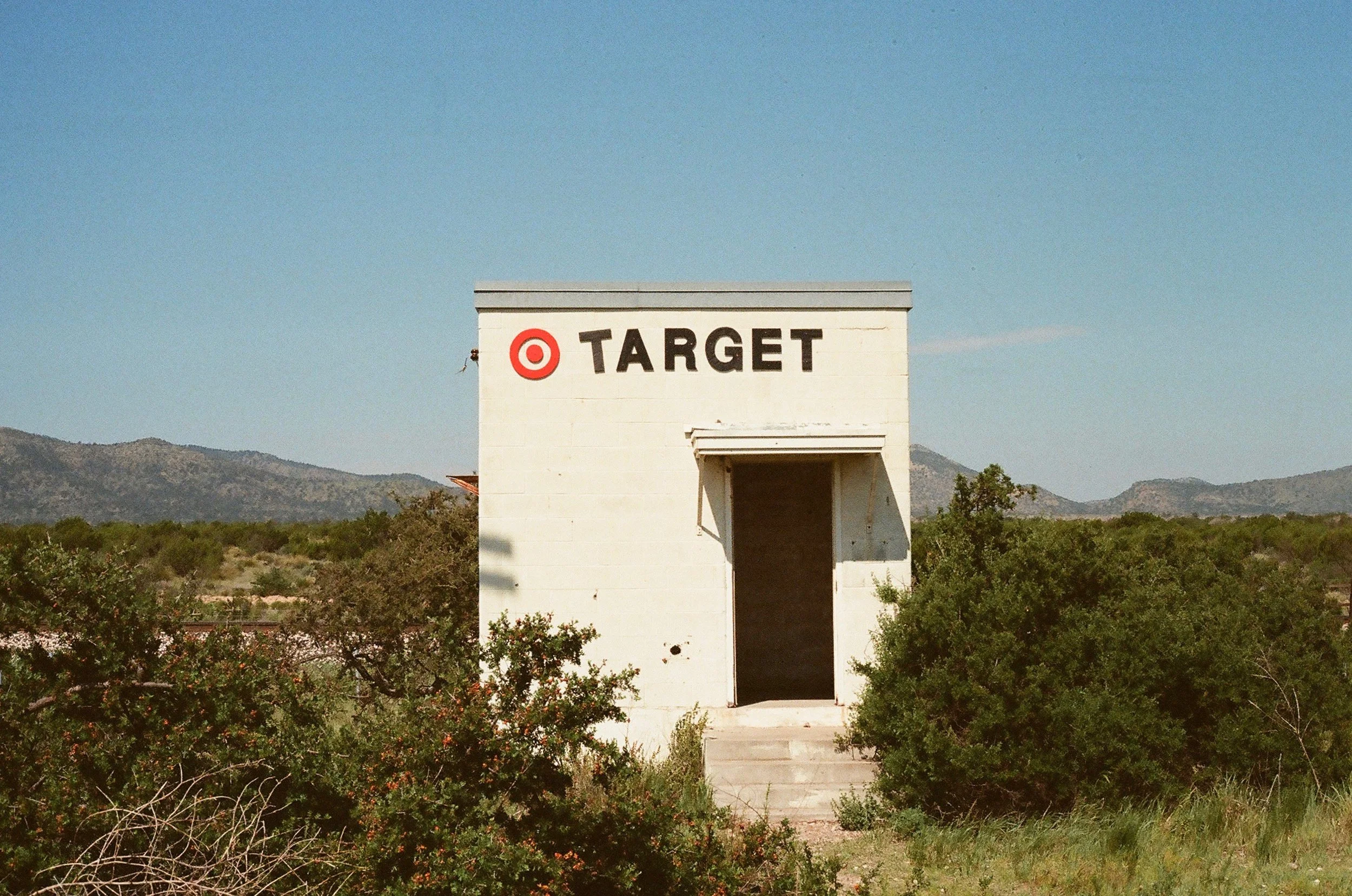 Kat Swansey Photo