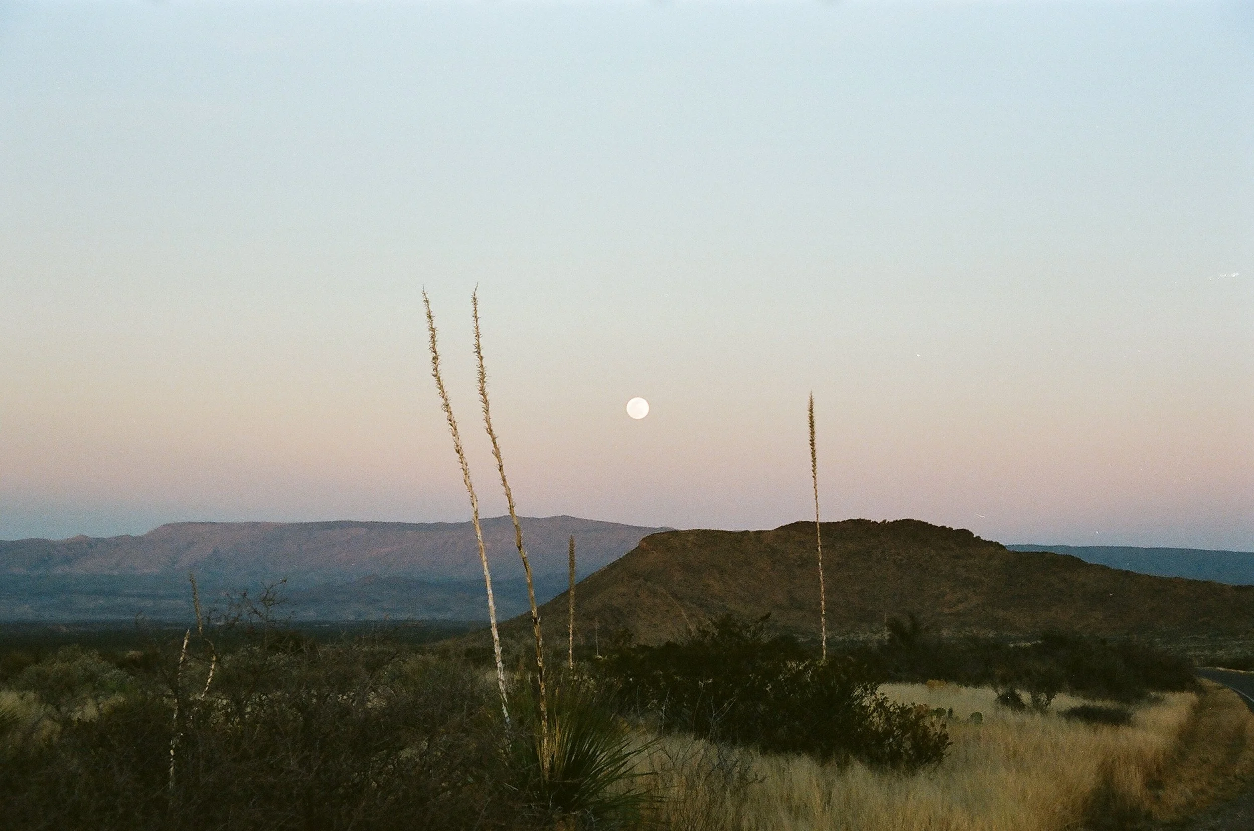 Landscape view of arid desert terrain with mountains in the distance, a setting or rising moon in the sky, and sparse desert vegetation in the foreground.