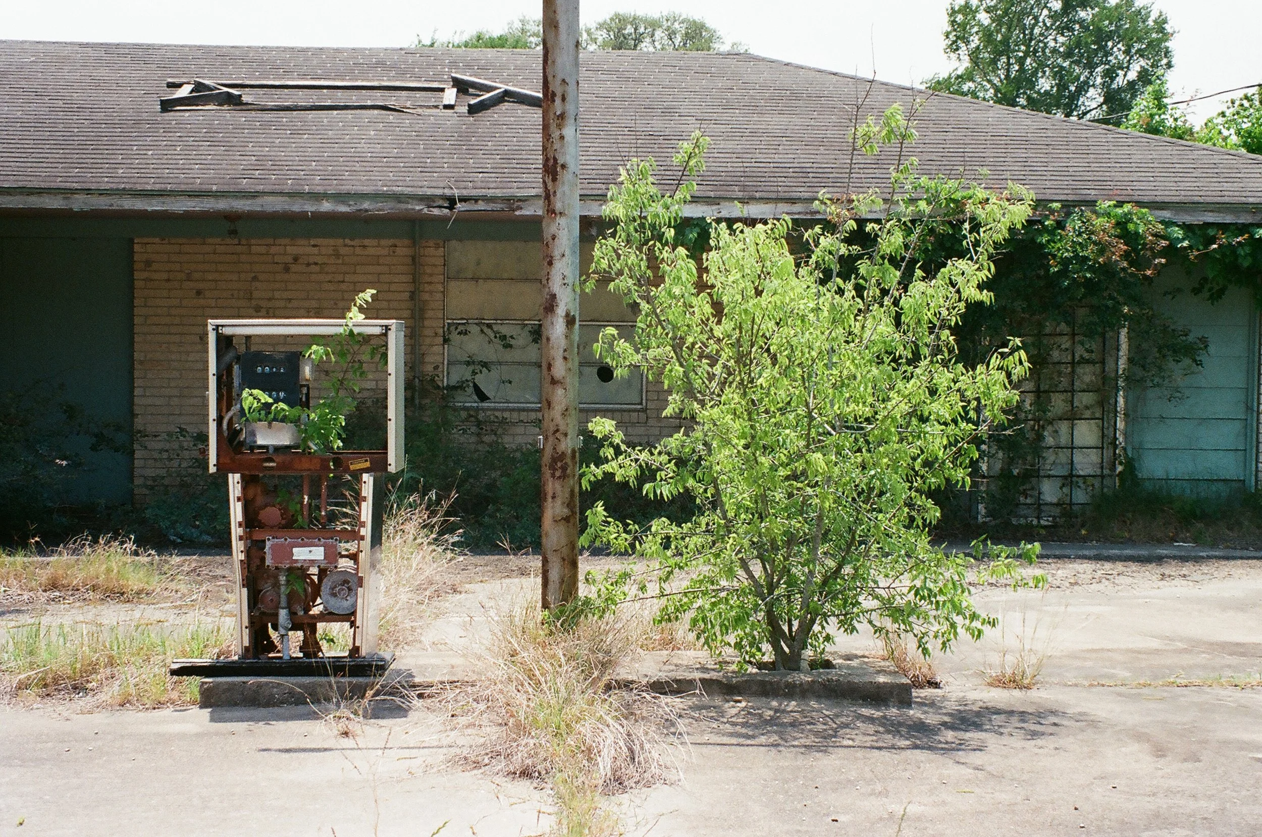 Abandoned building with a damaged roof, an overgrown sidewalk with a tree and plants, and an old, rusty payphone.