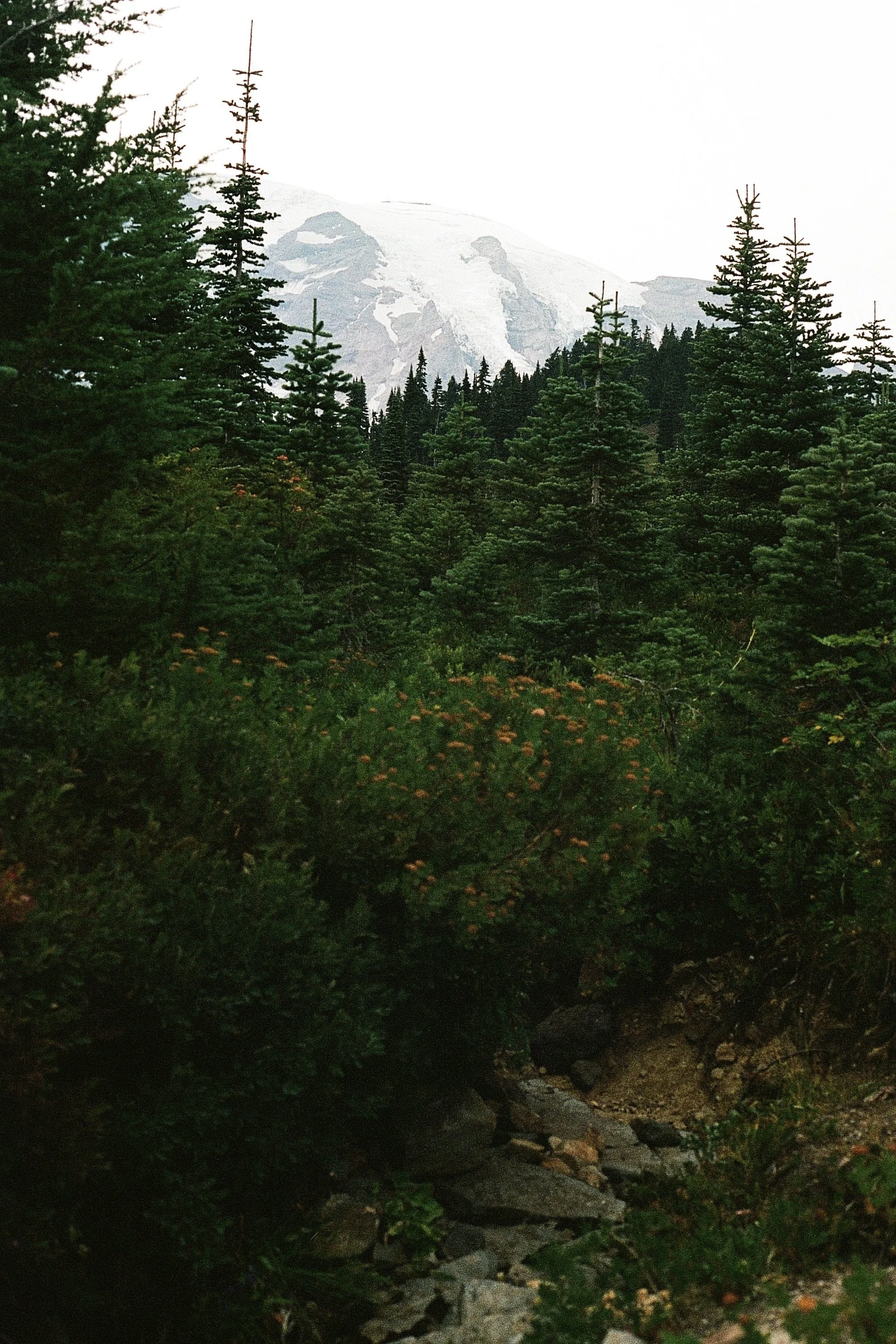 IMG_8400.jpeg