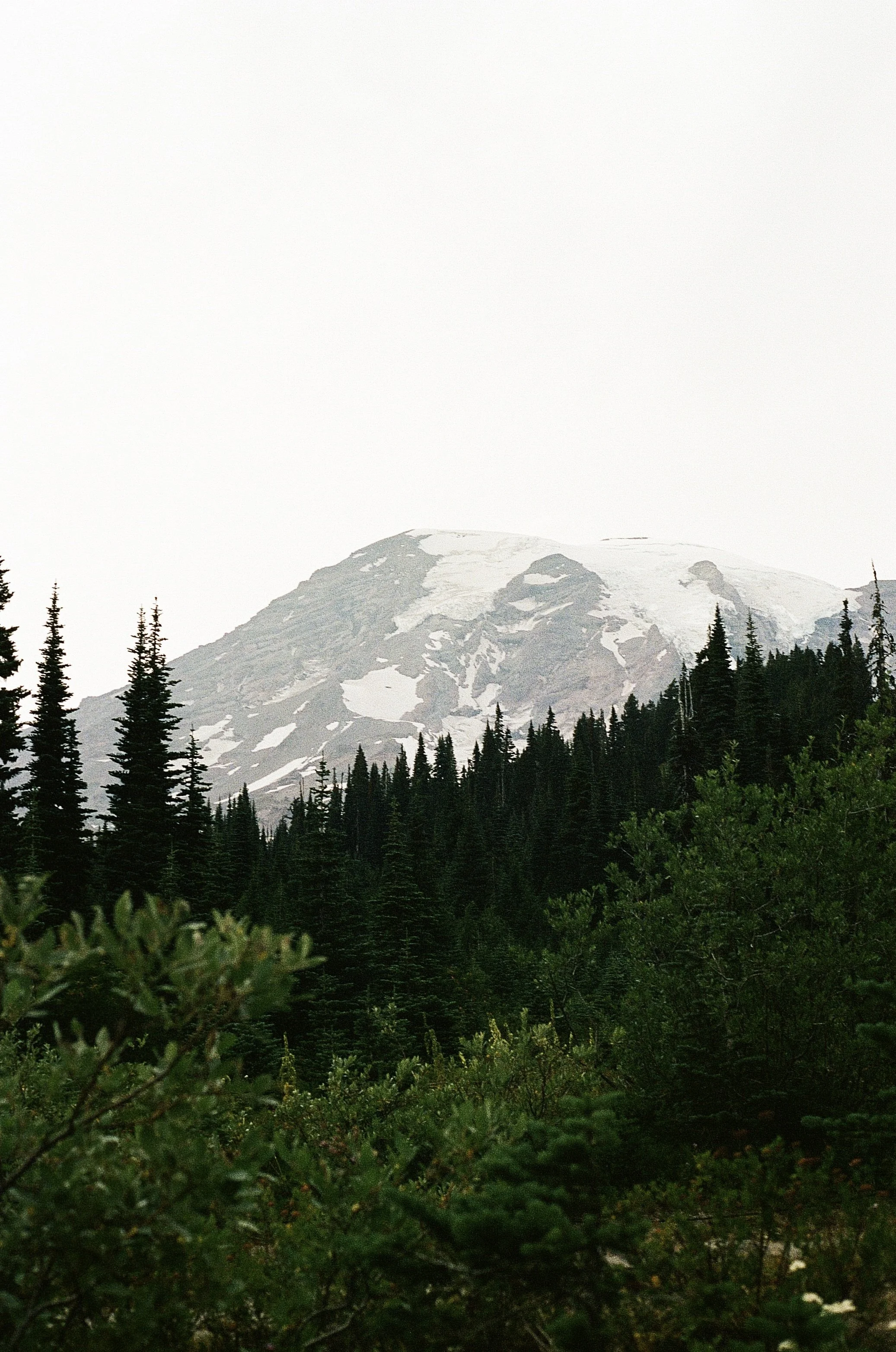 IMG_8427.jpeg