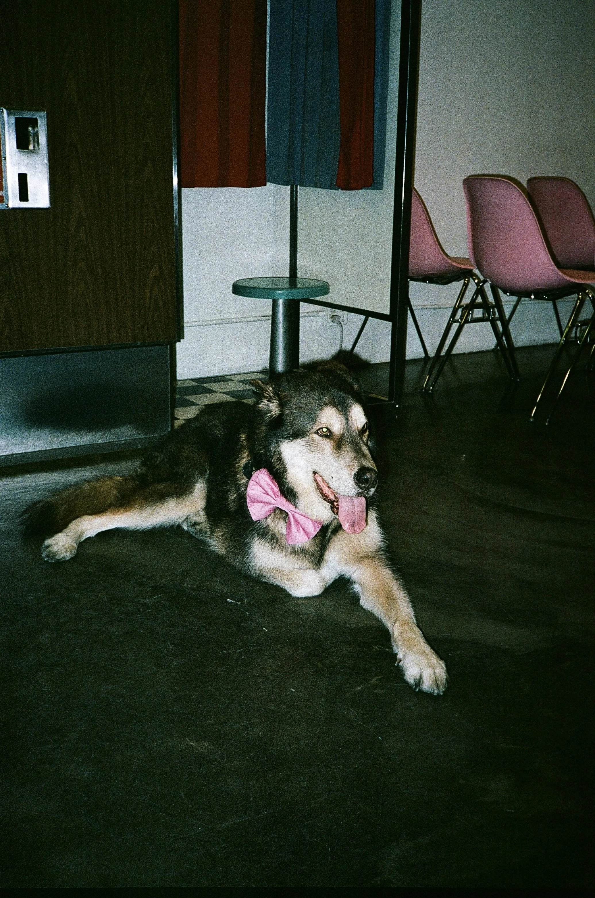 IMG_1020.jpeg