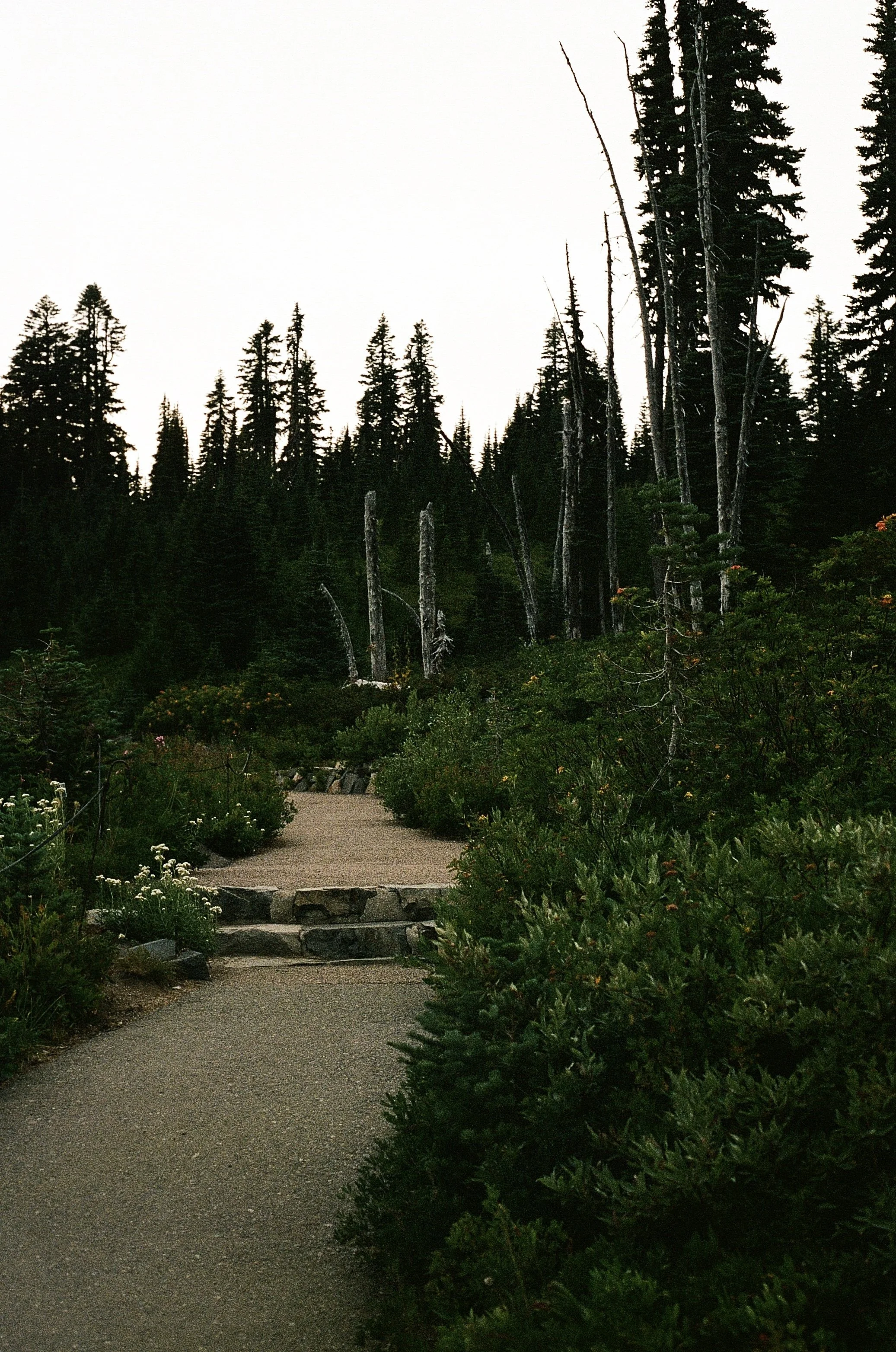 IMG_8407.jpeg