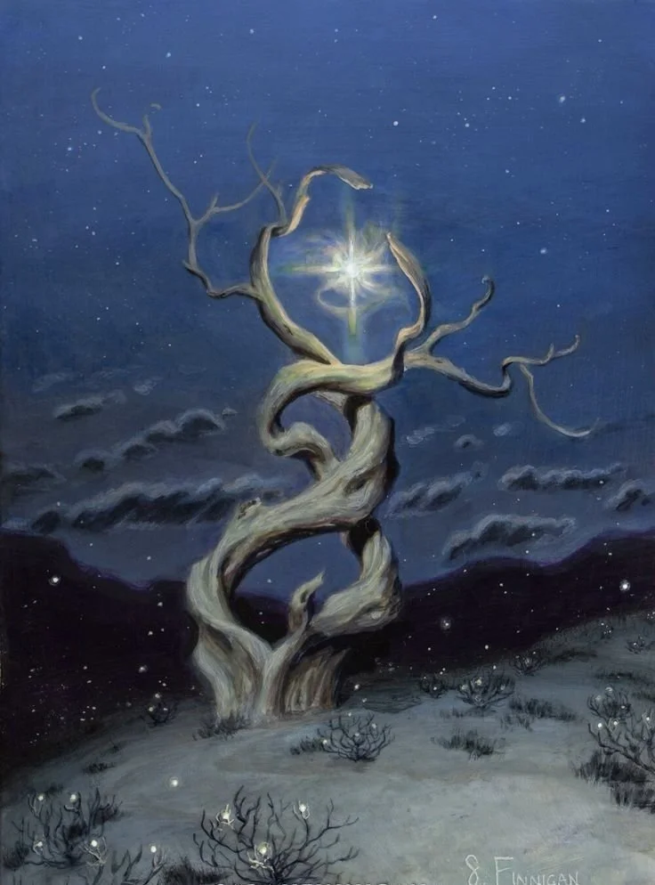 The Nourishment of Deep Yin: A Winter Solstice Reflection