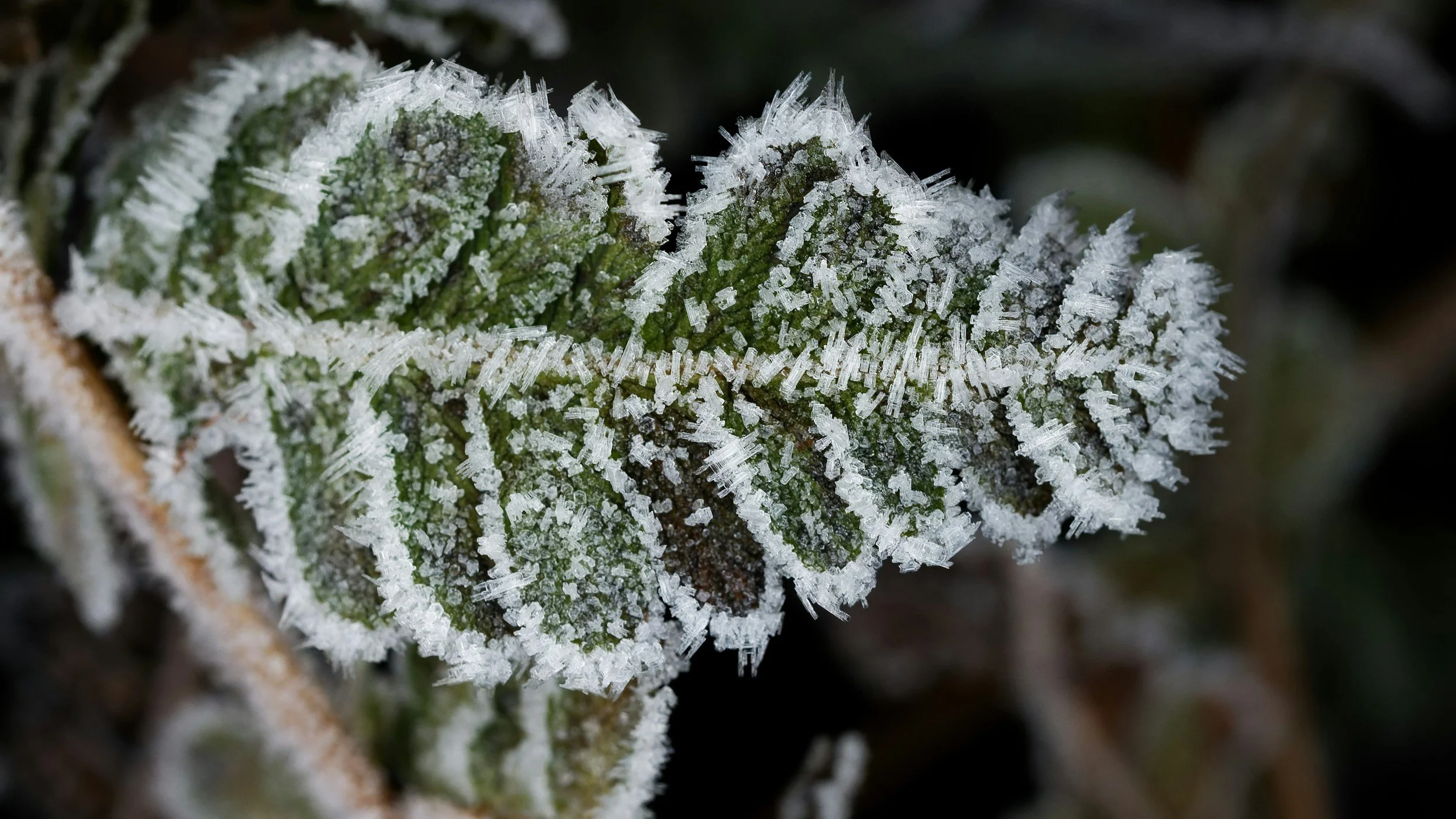 When The Ice Melts