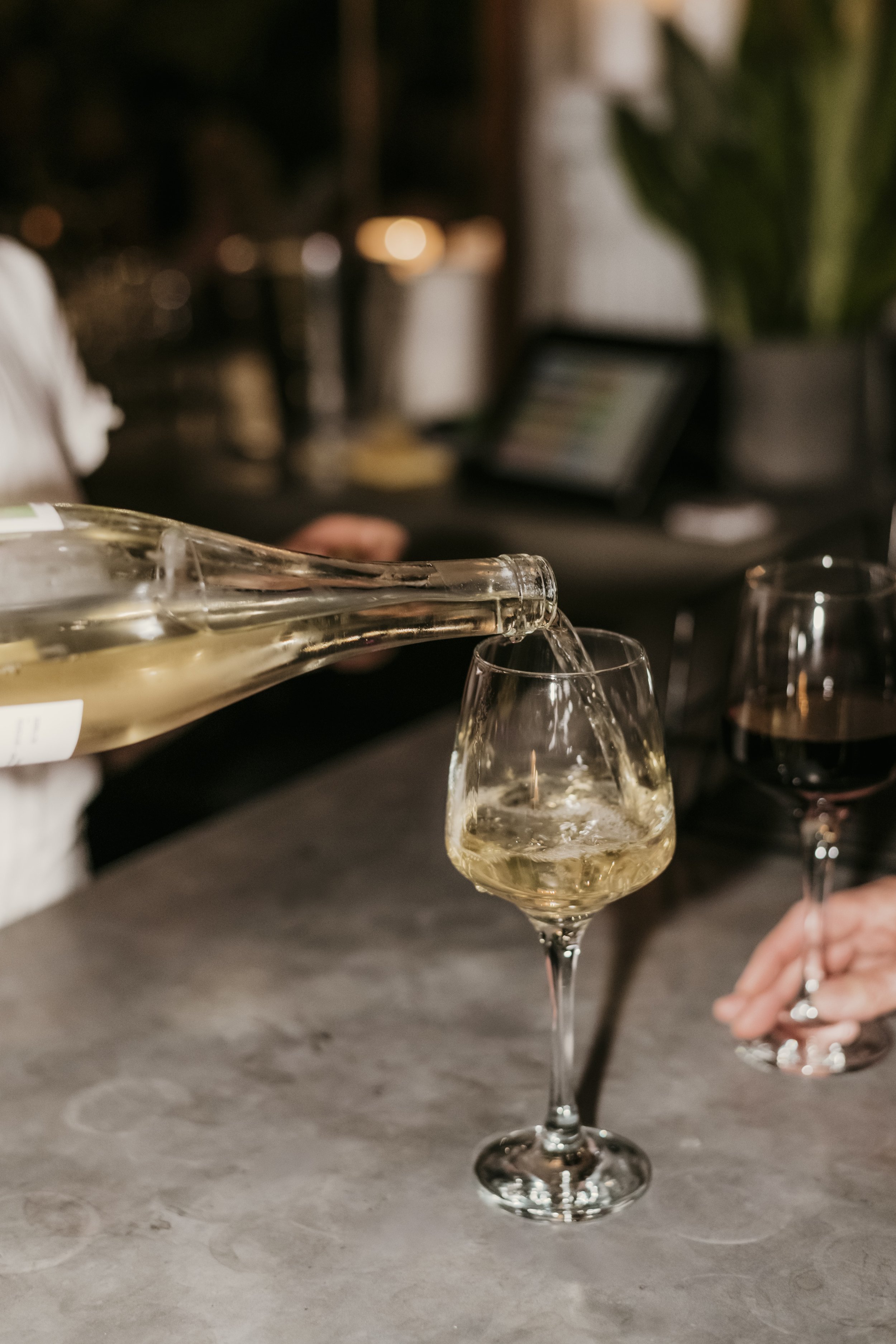 Savour2025_134 copy.jpg