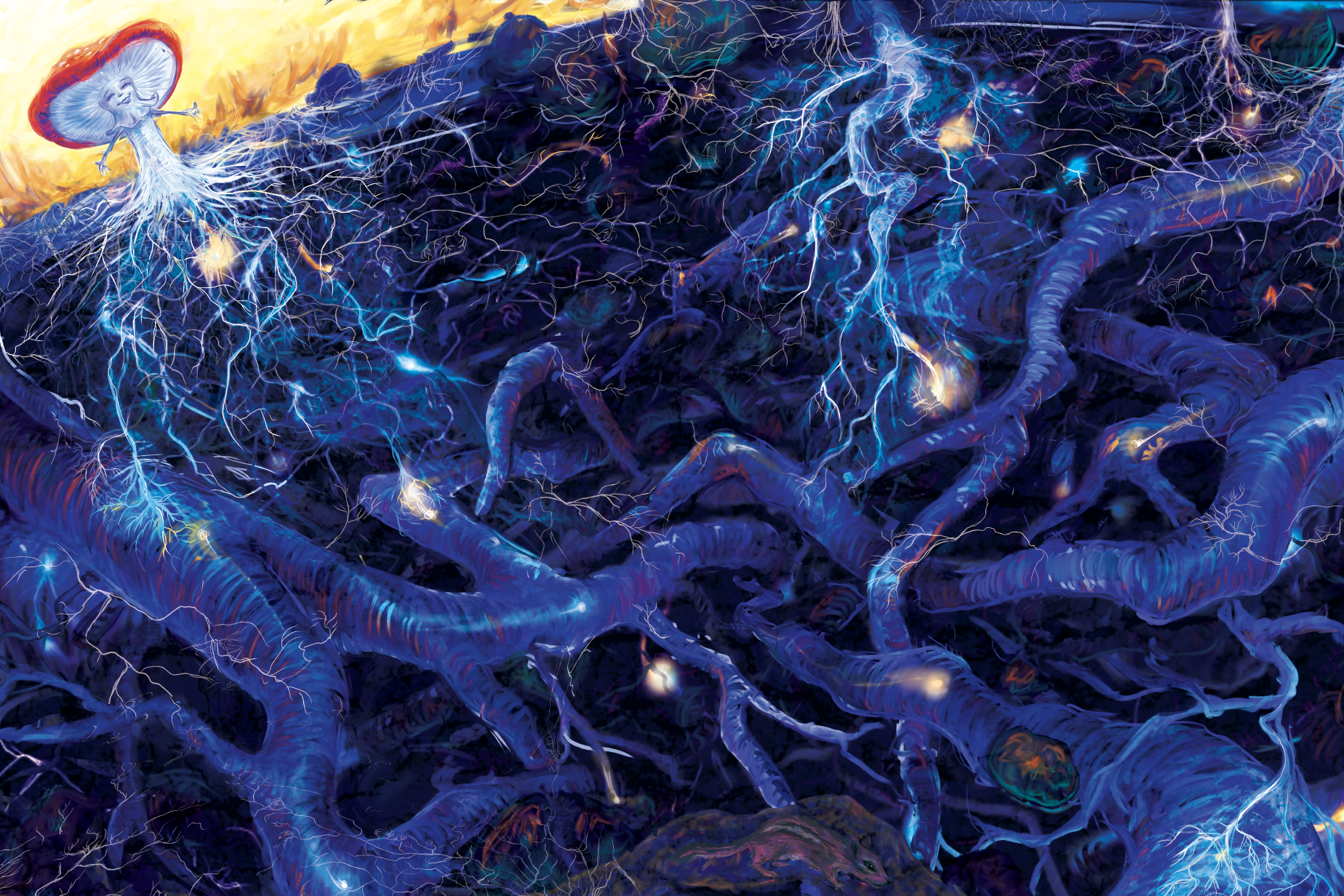 Screen Shot 2023-04-11 at 12.07.39 AM.png