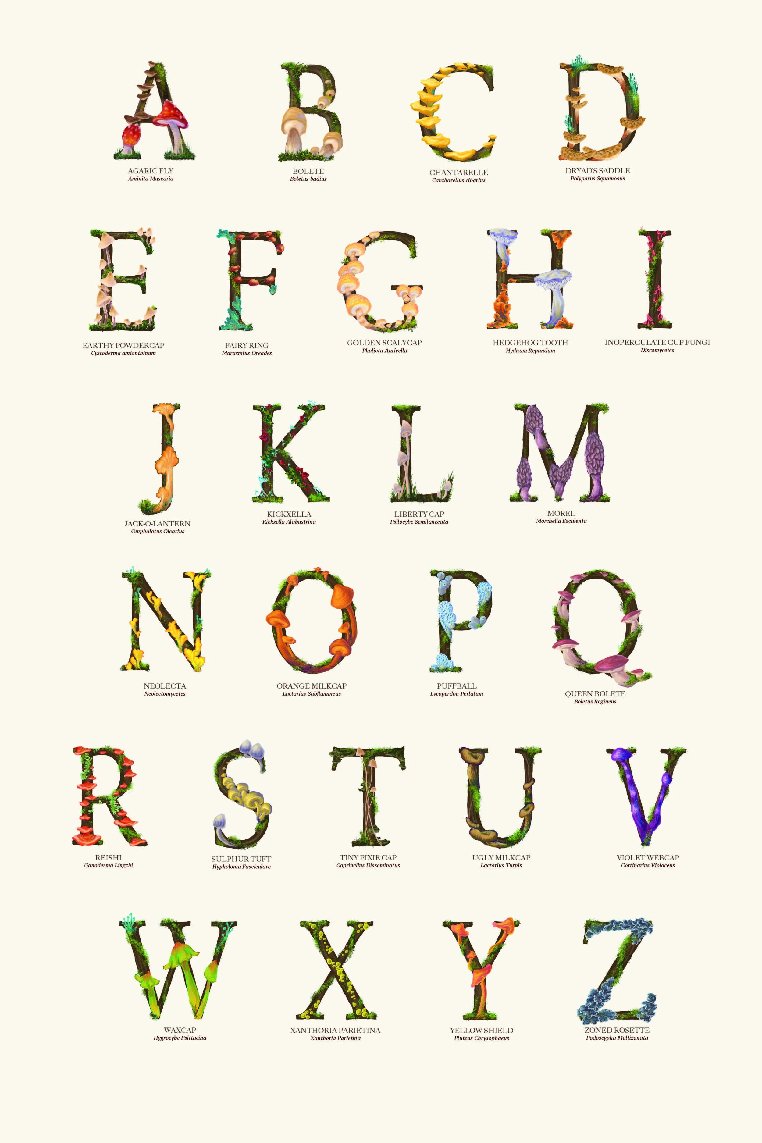 Mushroom_Alphabet_JPEG.jpg