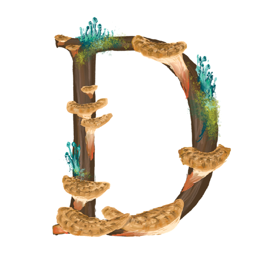 Fungi_d.png