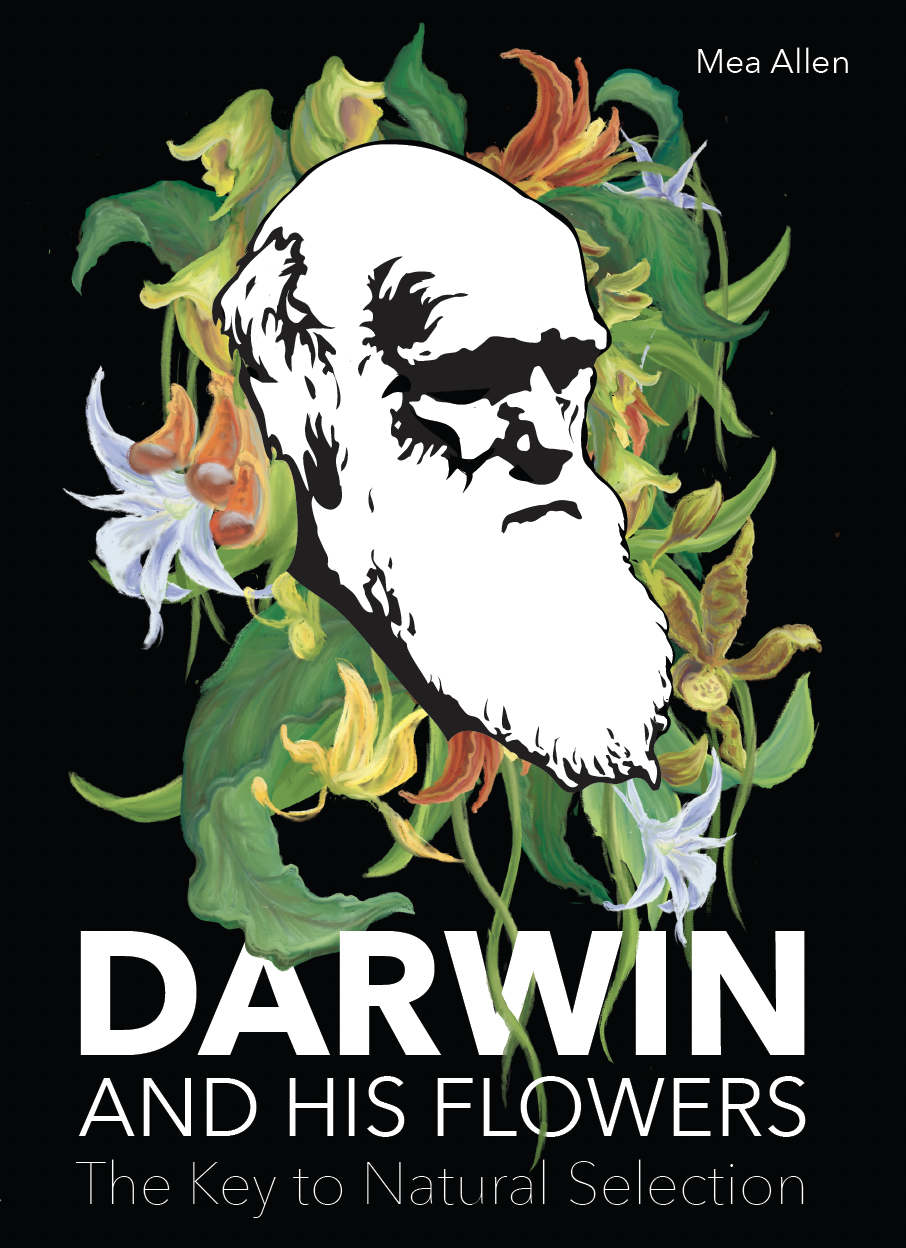 Screen Shot 2023-04-11 at 12.30.57 AM.png