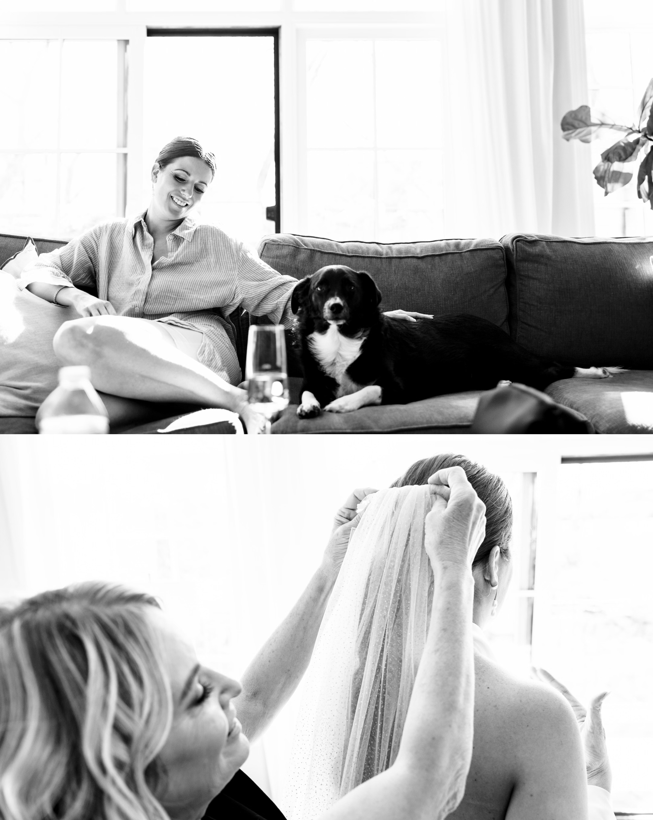 Old Hollywood 3.png