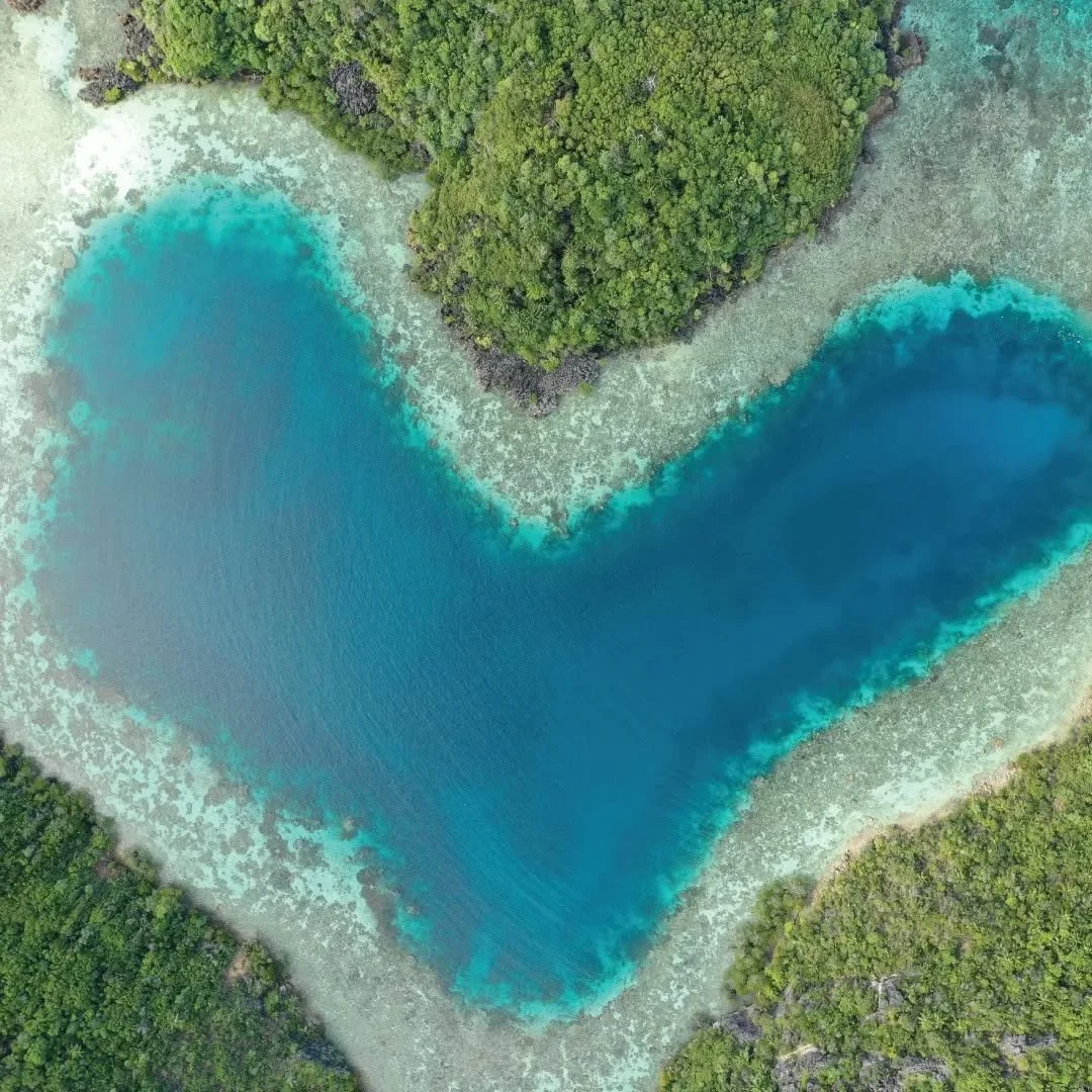 Time in this remote paradise of Misool is like stepping into a different world, where the beauty of nature is at its purest. 

Tranquil bays and narrow straits glisten under the gentle touch of the sun, while the towering limestone karst formations e