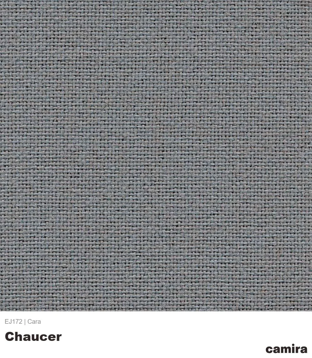 Cara-EJ172-Chaucer (1).jpg