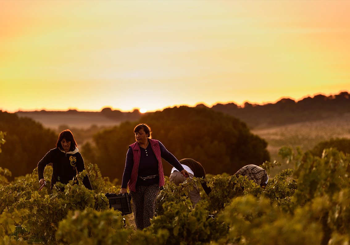 bodegas-piedra-producentbild