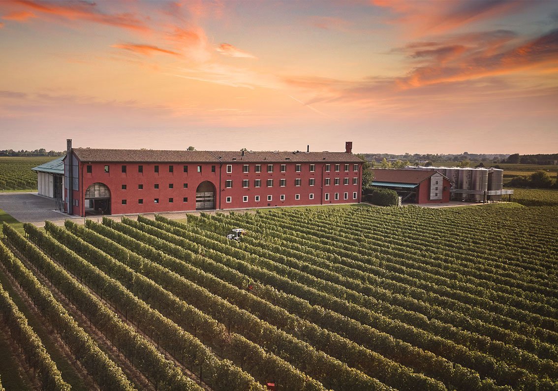 Le Monde Vineyard
