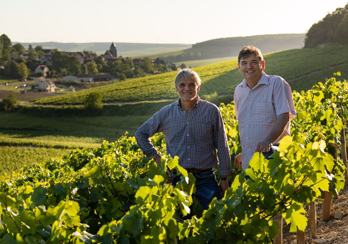 Damât Frères Wines