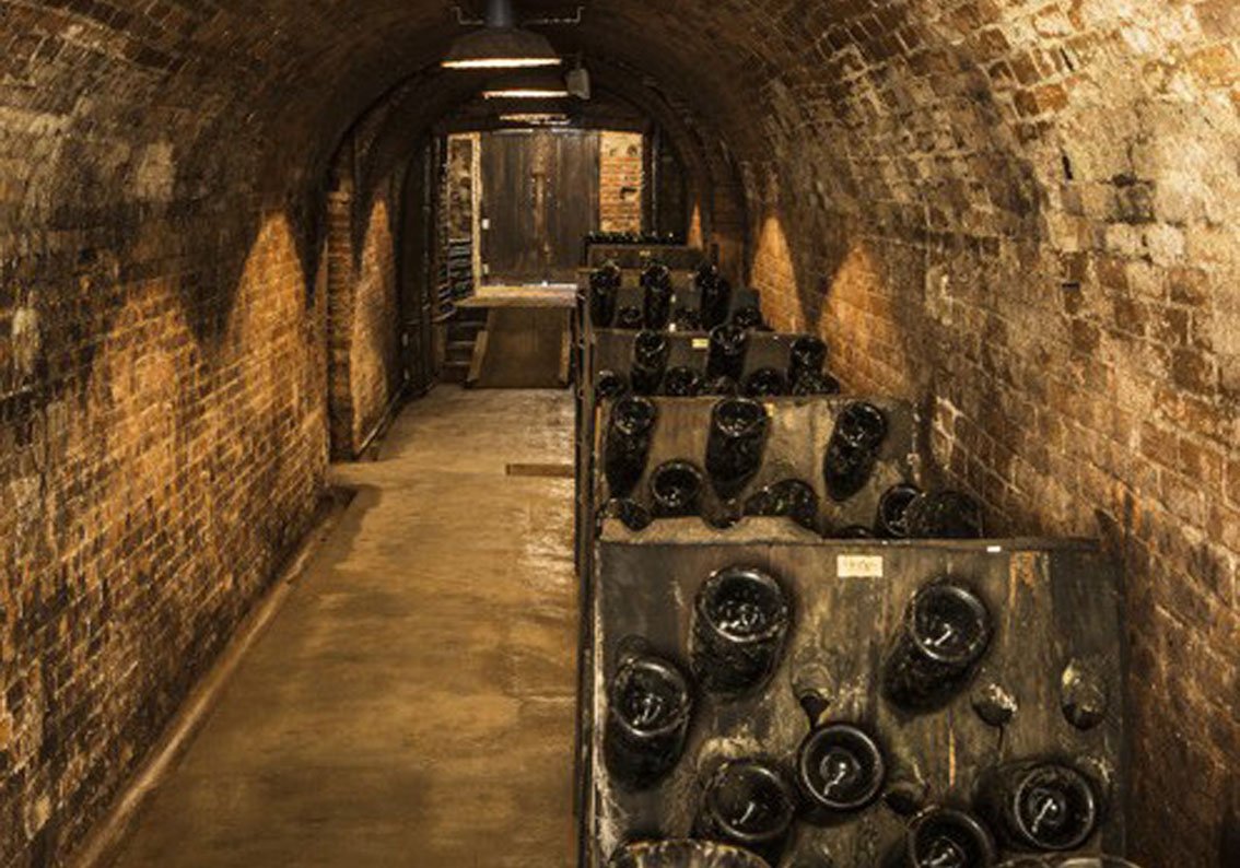 Coppo Wines
