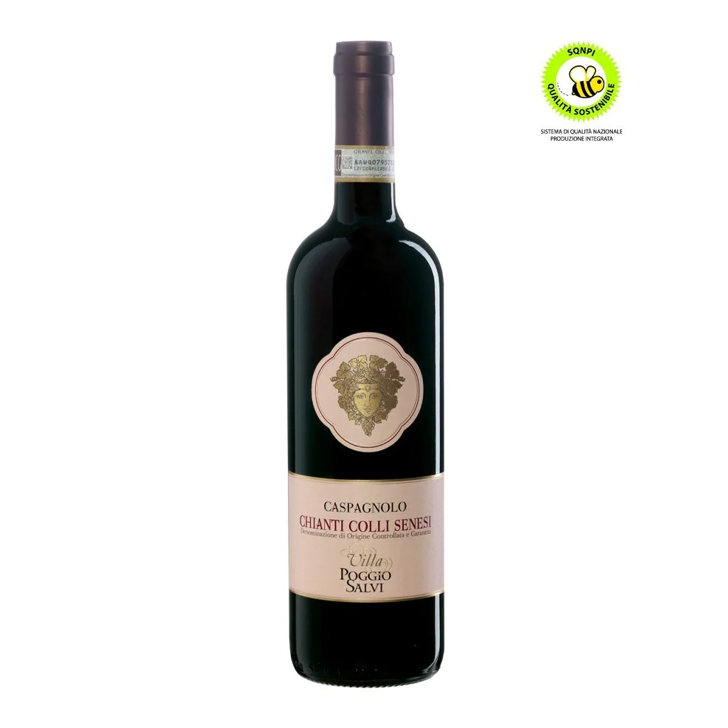 Villa Poggio Salvi Caspagnolo Chianti Colli Senesi