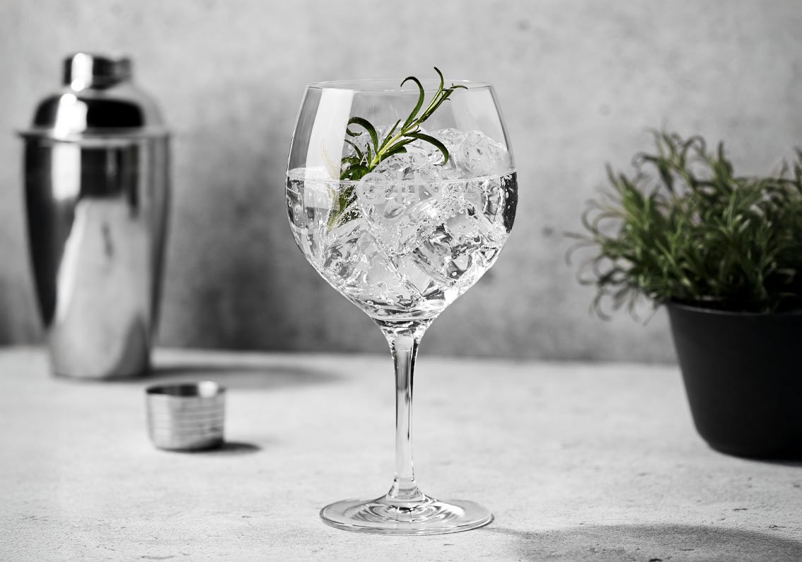All About Gin Tonic