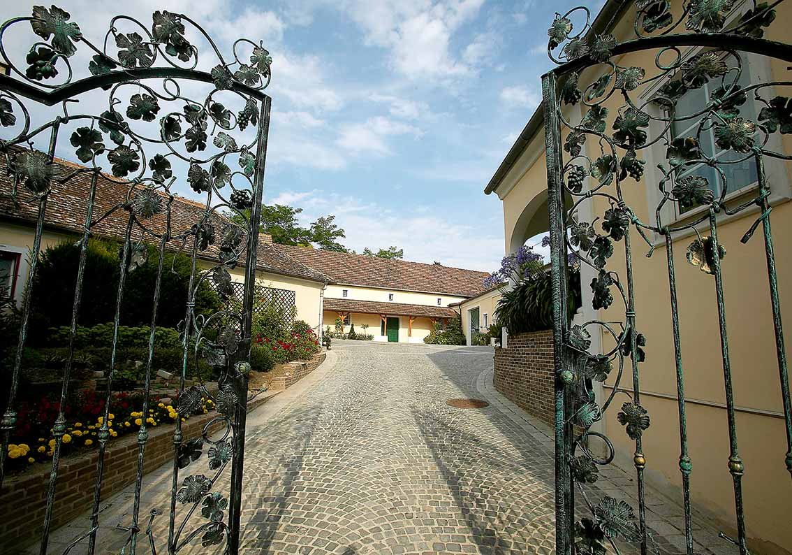 Weinberghof-Fritsch-producentbild